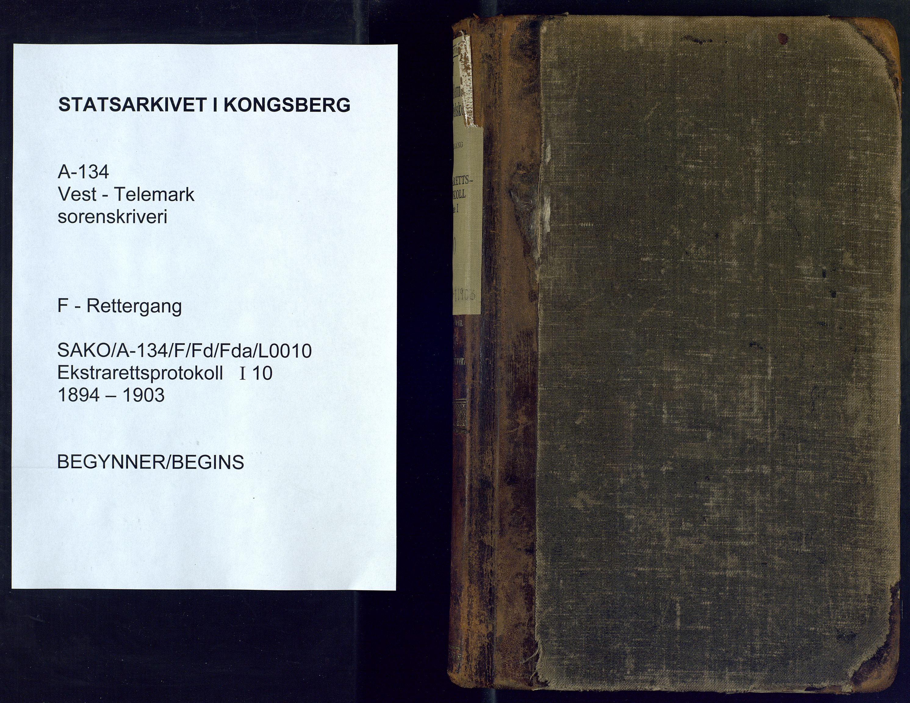 Vest-Telemark sorenskriveri, SAKO/A-134/F/Fd/Fda/L0010: Ekstrarettsprotokoll, 1894-1903