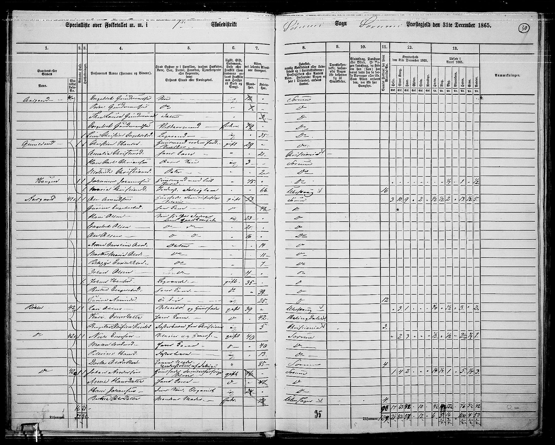 RA, 1865 census for Sørum, 1865, p. 28