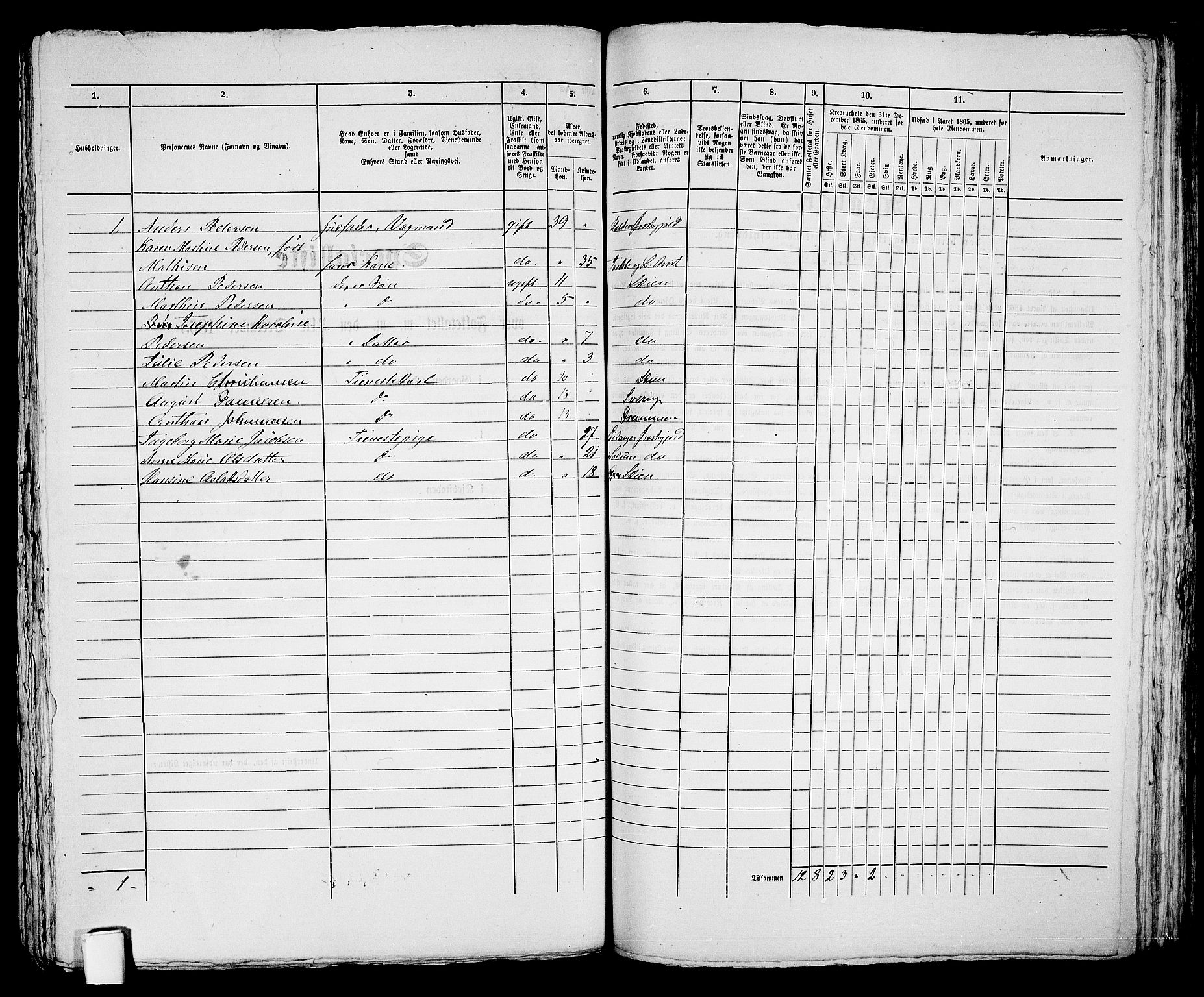 RA, 1865 census for Skien, 1865, p. 729