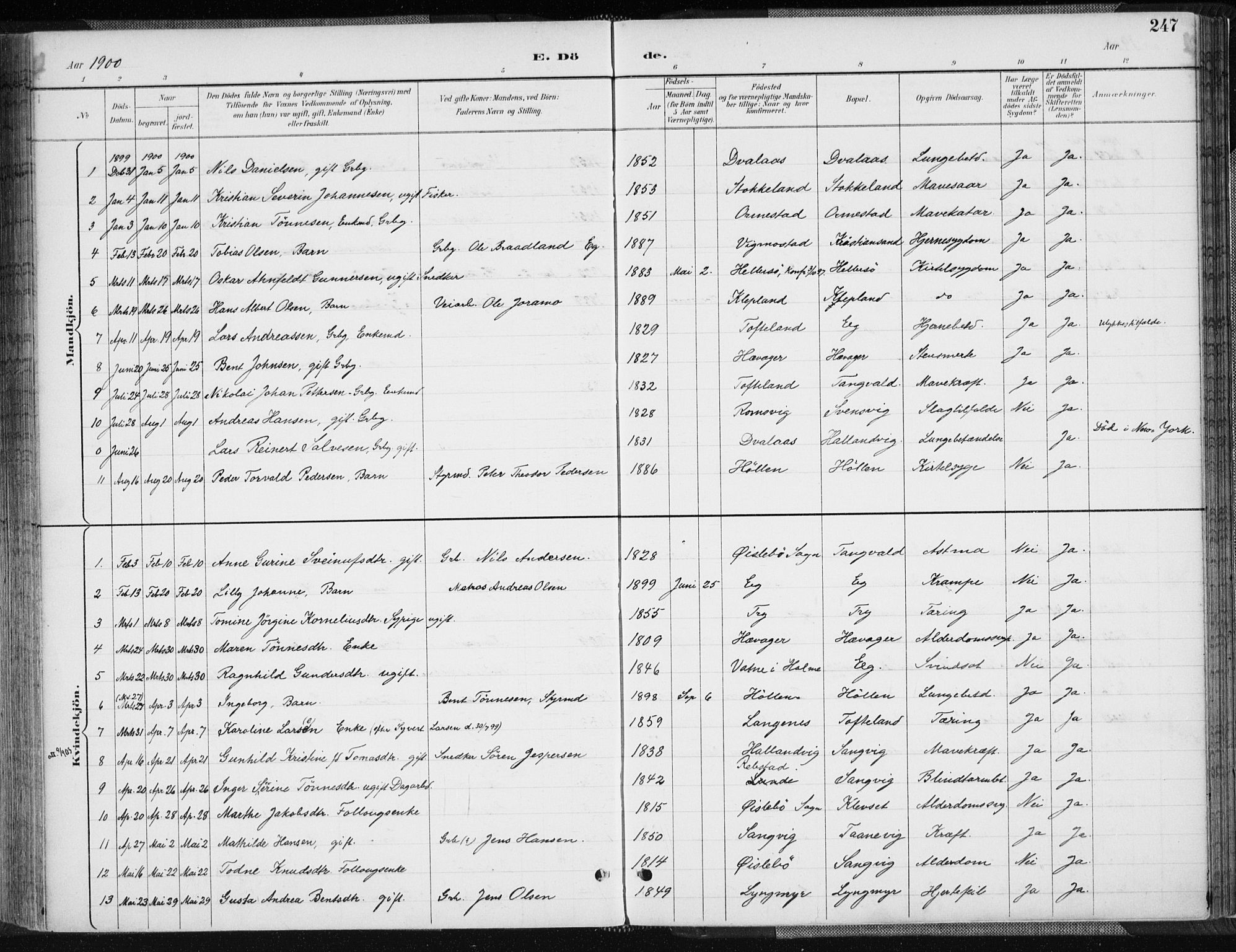 Søgne sokneprestkontor, AV/SAK-1111-0037/F/Fa/Fab/L0013: Parish register (official) no. A 13, 1892-1911, p. 247