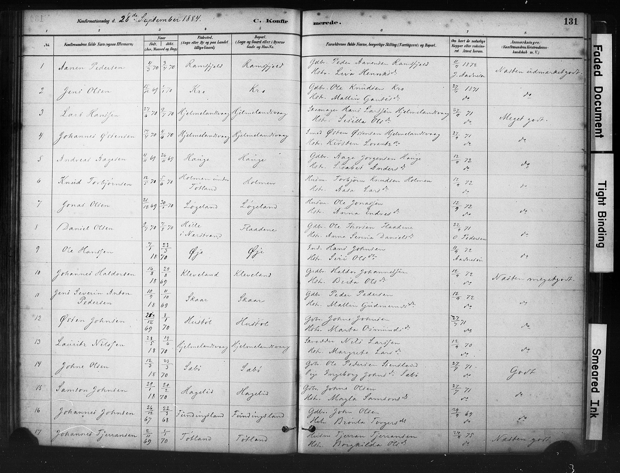 Hjelmeland sokneprestkontor, SAST/A-101843/01/IV/L0014: Parish register (official) no. A 14, 1879-1900, p. 131