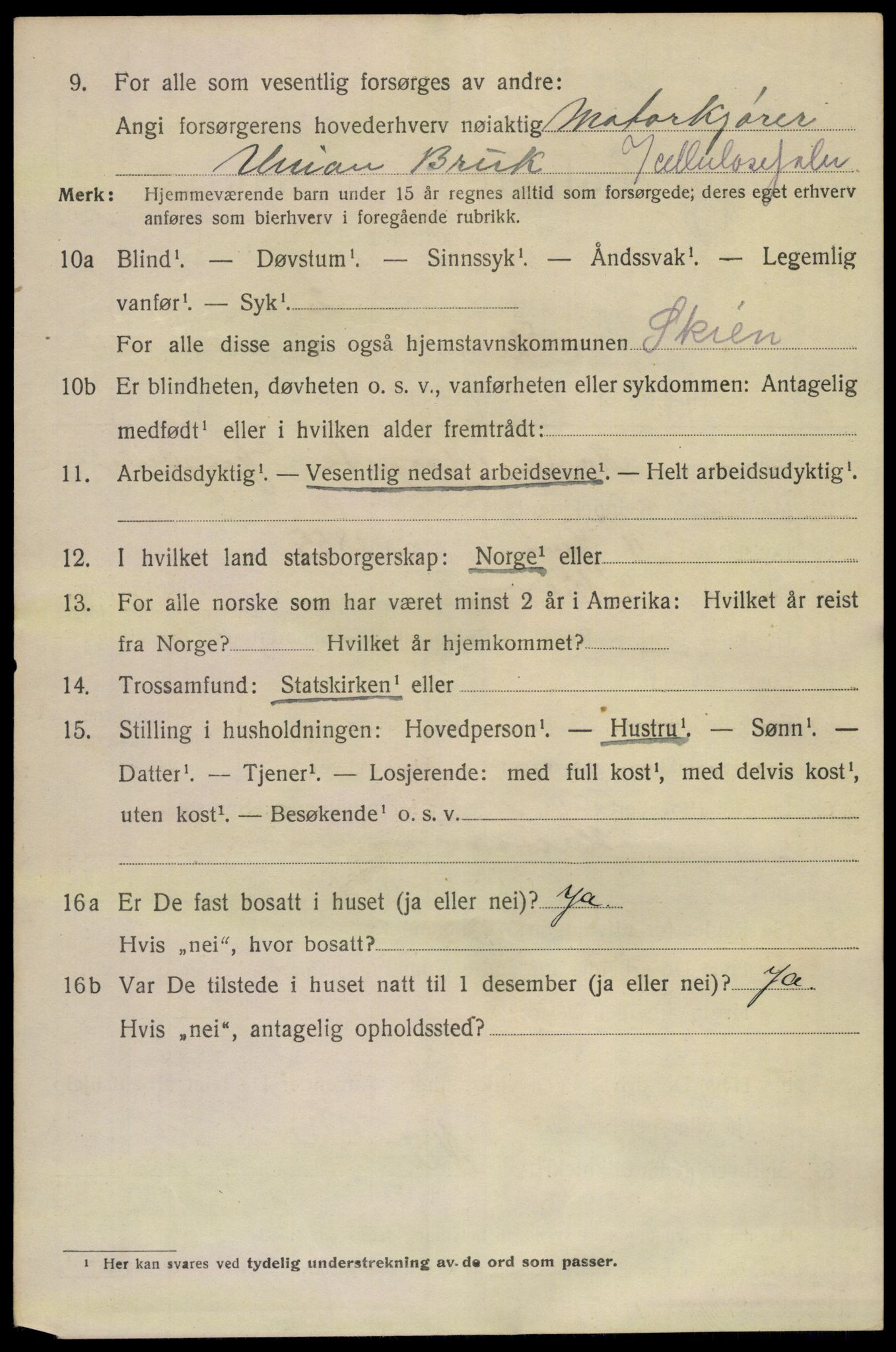 SAKO, 1920 census for Skien, 1920, p. 41505