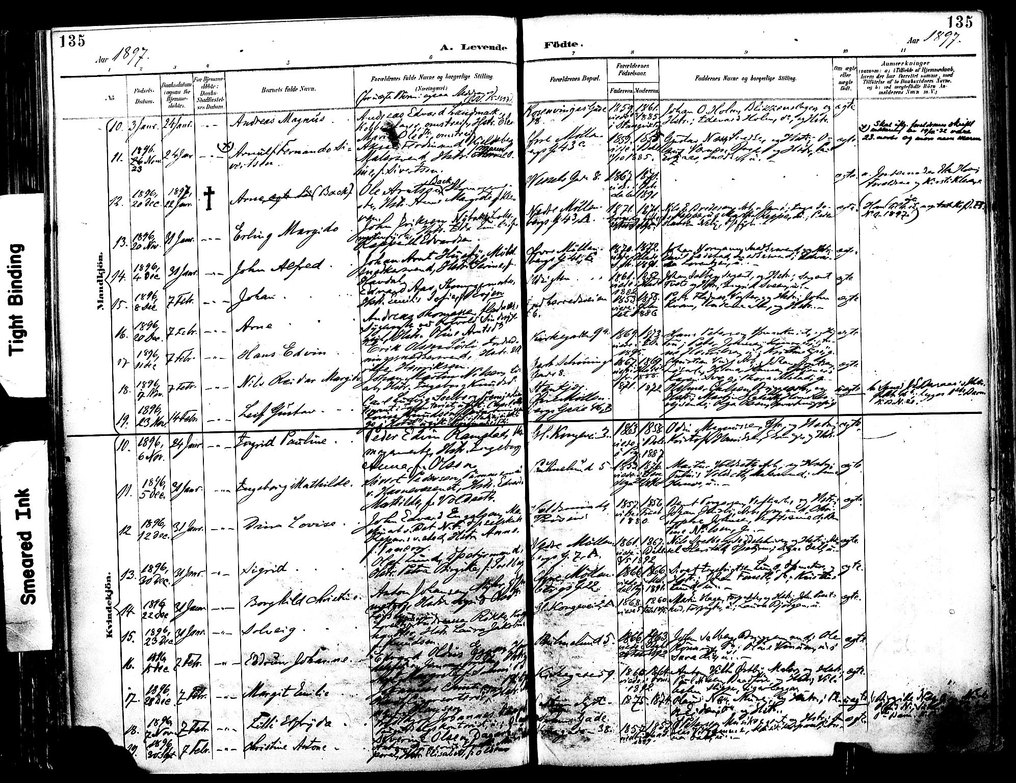 Ministerialprotokoller, klokkerbøker og fødselsregistre - Sør-Trøndelag, SAT/A-1456/604/L0197: Parish register (official) no. 604A18, 1893-1900, p. 135
