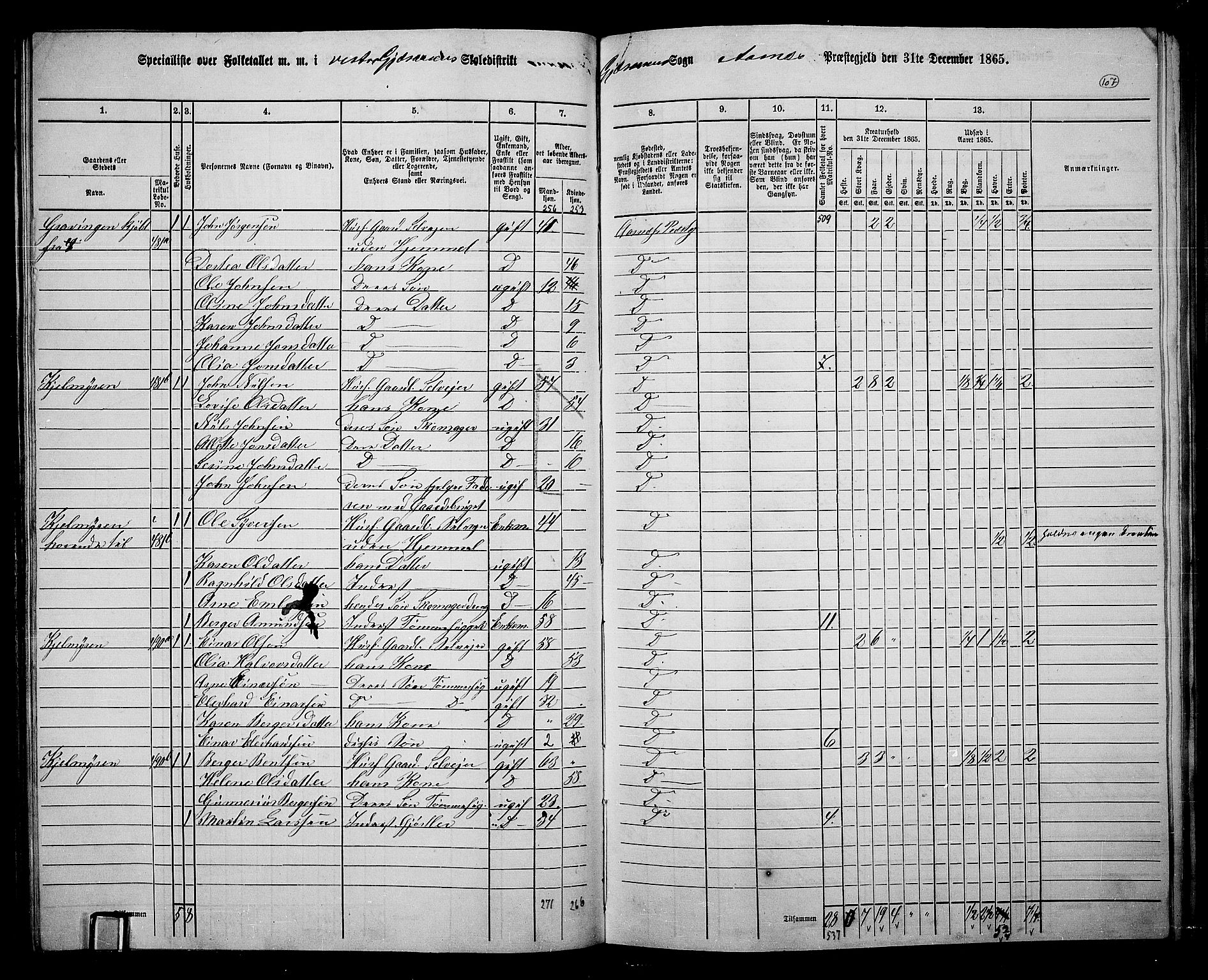 RA, 1865 census for Åsnes, 1865, p. 101