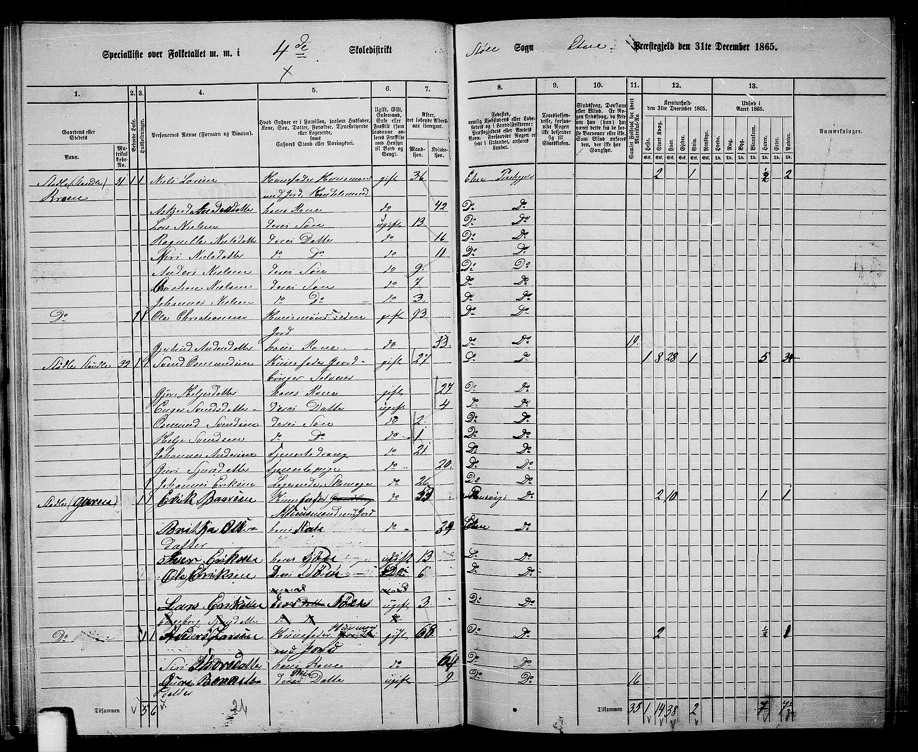 RA, 1865 census for Etne, 1865, p. 39