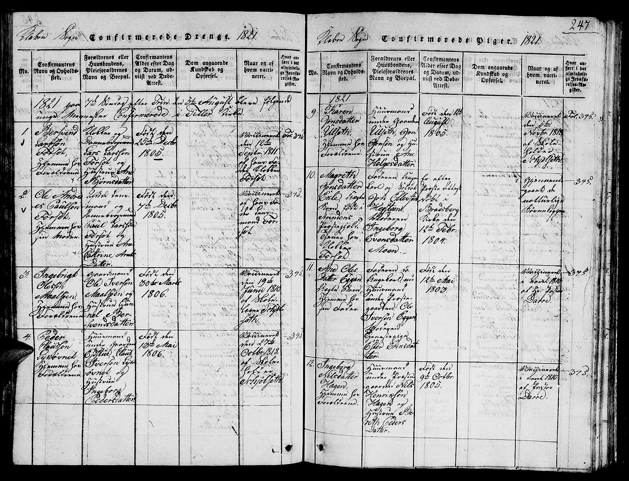Ministerialprotokoller, klokkerbøker og fødselsregistre - Sør-Trøndelag, SAT/A-1456/618/L0450: Parish register (copy) no. 618C01, 1816-1865, p. 247