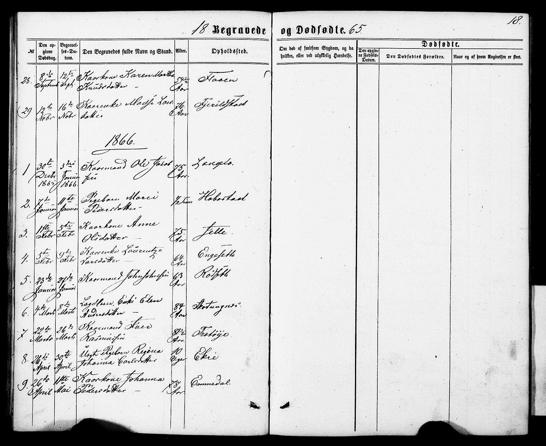 Ministerialprotokoller, klokkerbøker og fødselsregistre - Møre og Romsdal, AV/SAT-A-1454/520/L0282: Parish register (official) no. 520A11, 1862-1881, p. 18