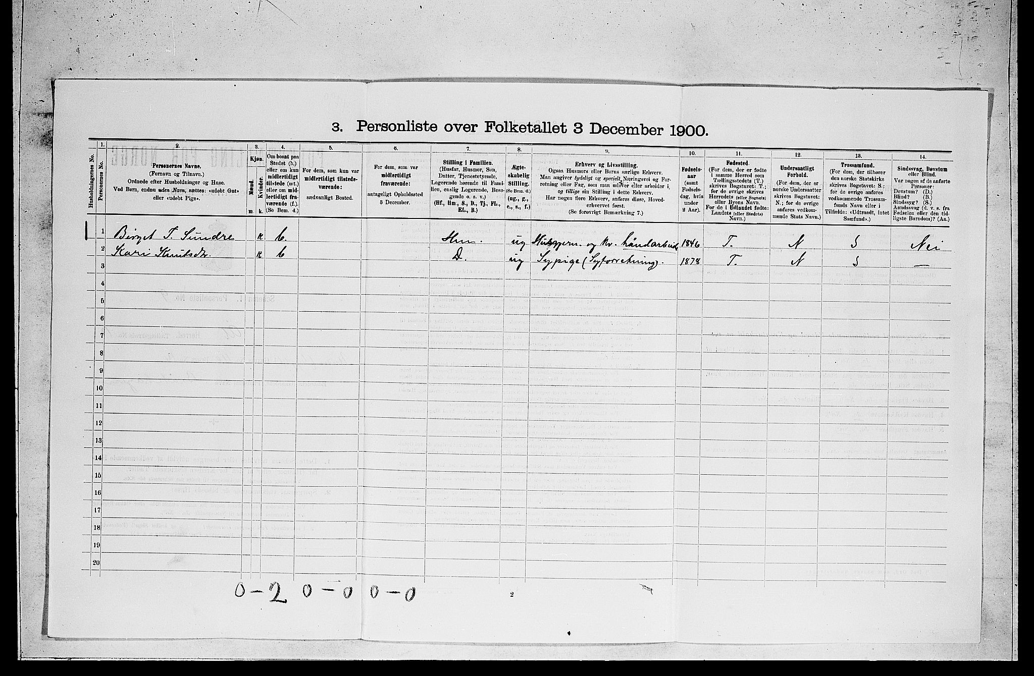 RA, 1900 census for Ål, 1900, p. 1019