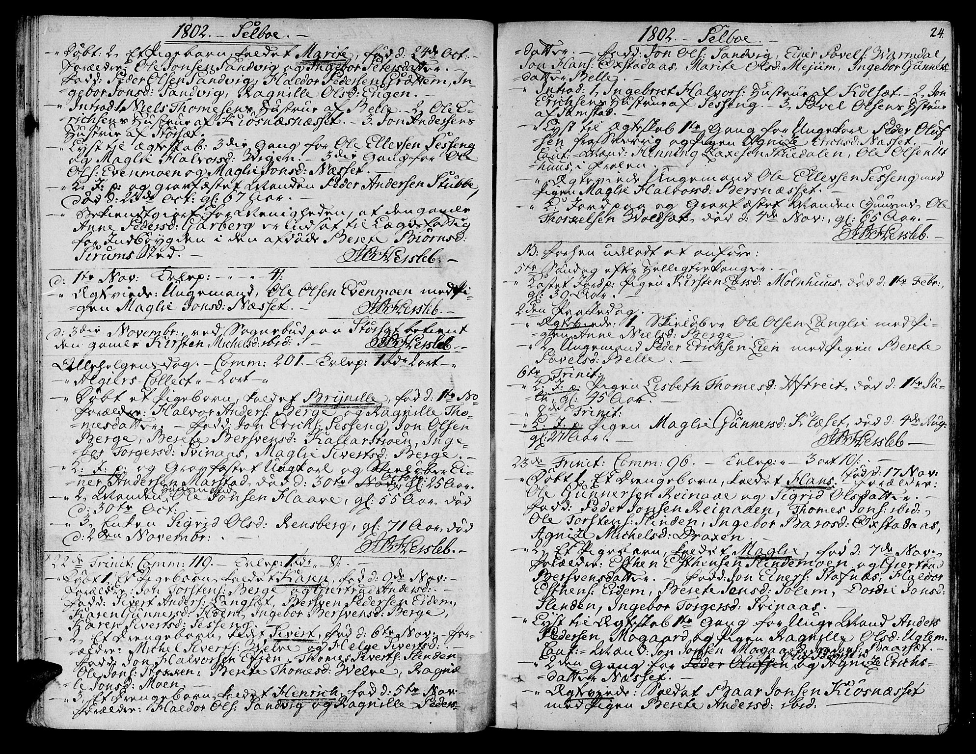 Ministerialprotokoller, klokkerbøker og fødselsregistre - Sør-Trøndelag, SAT/A-1456/695/L1140: Parish register (official) no. 695A03, 1801-1815, p. 24