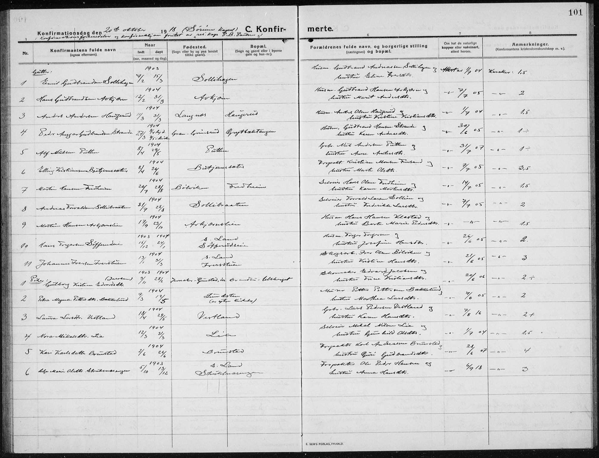 Brandbu prestekontor, AV/SAH-PREST-114/H/Ha/Hab/L0001: Parish register (copy) no. 1, 1914-1937, p. 101