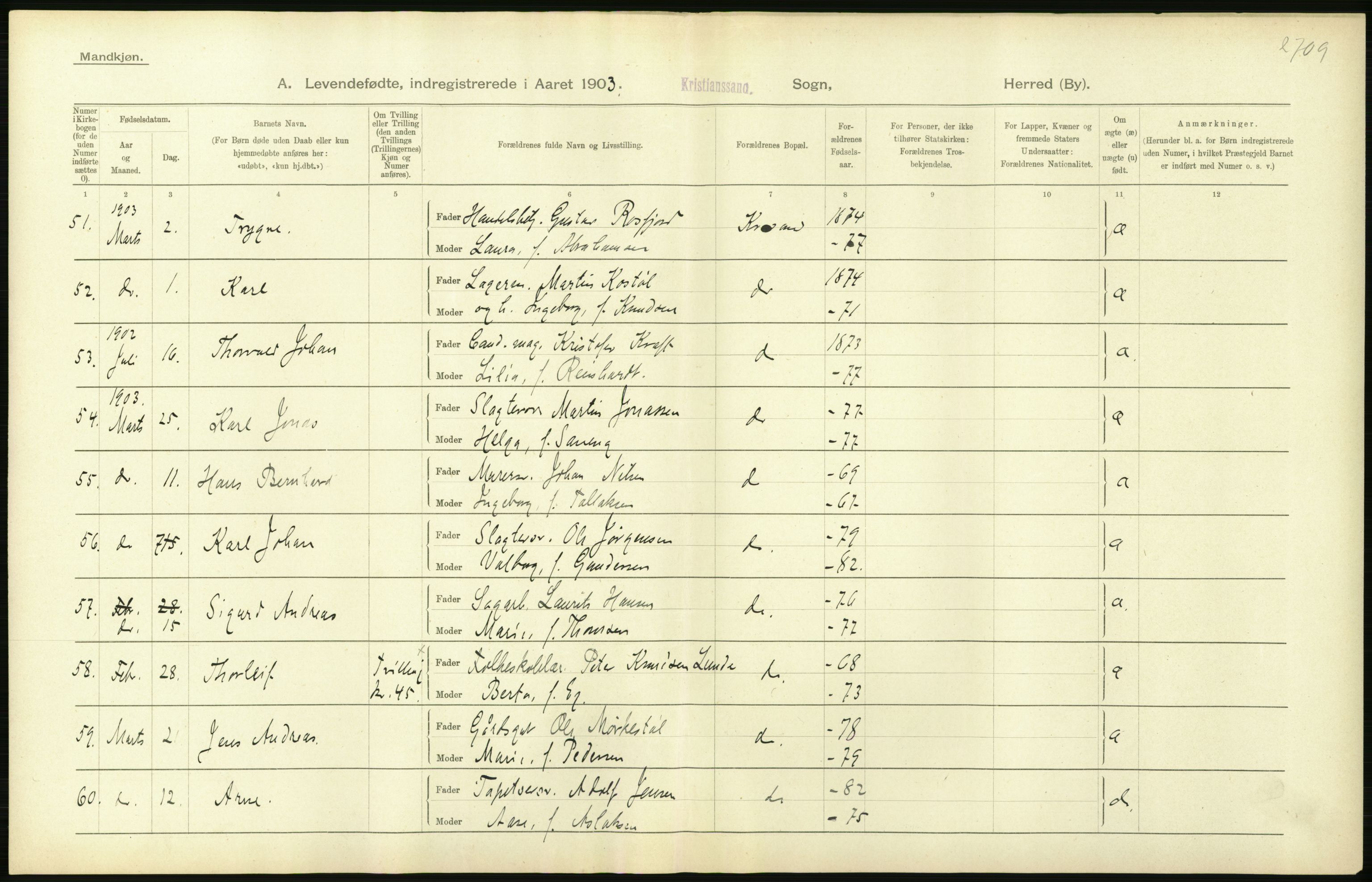 Statistisk sentralbyrå, Sosiodemografiske emner, Befolkning, AV/RA-S-2228/D/Df/Dfa/Dfaa/L0011: Lister og Mandal amt: Fødte, gifte, døde, 1903, p. 262