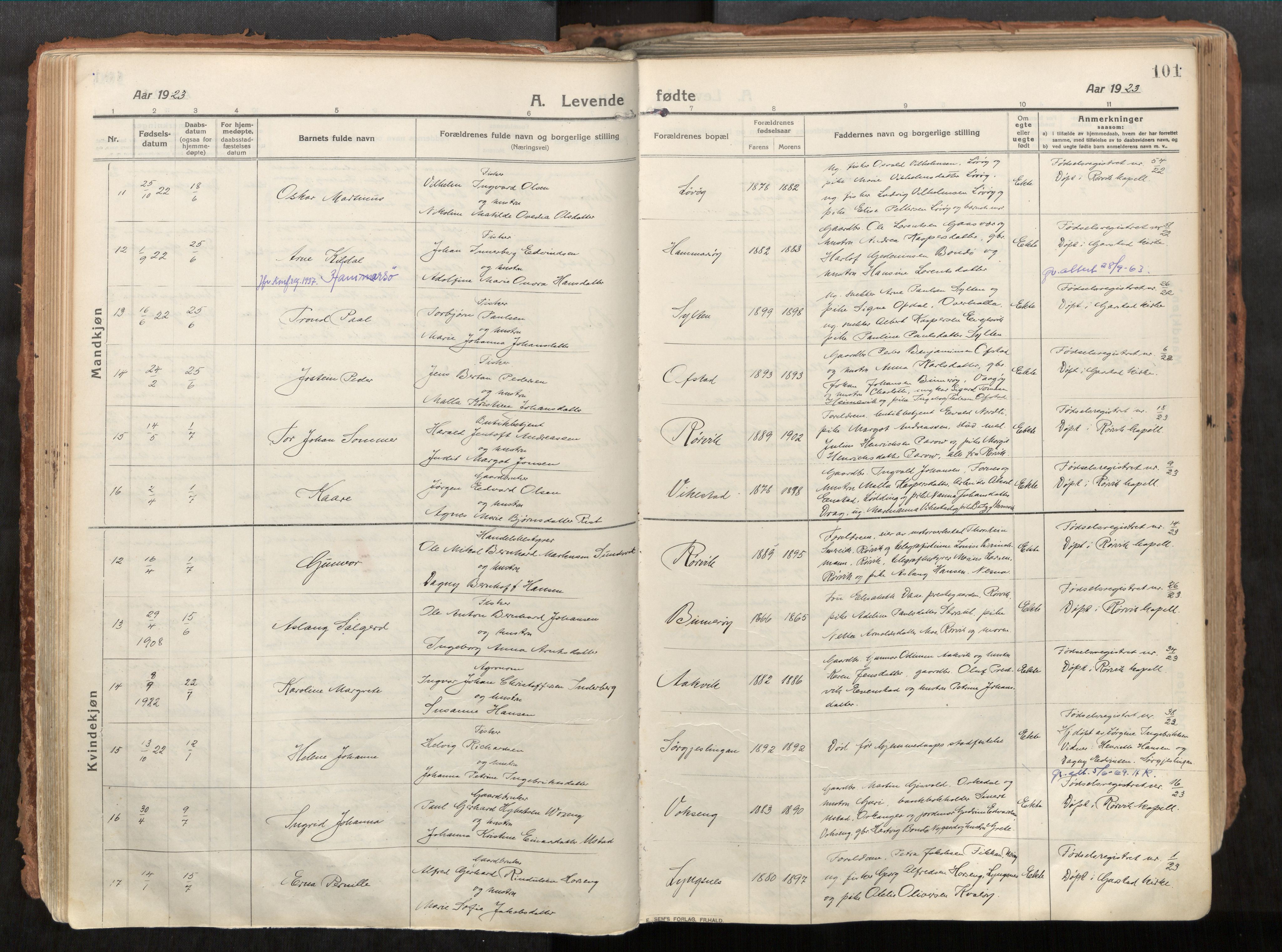 Vikna sokneprestkontor, AV/SAT-A-1173/1/I/I1/I1a/L0001: Parish register (official) no. 1, 1913-1934, p. 101