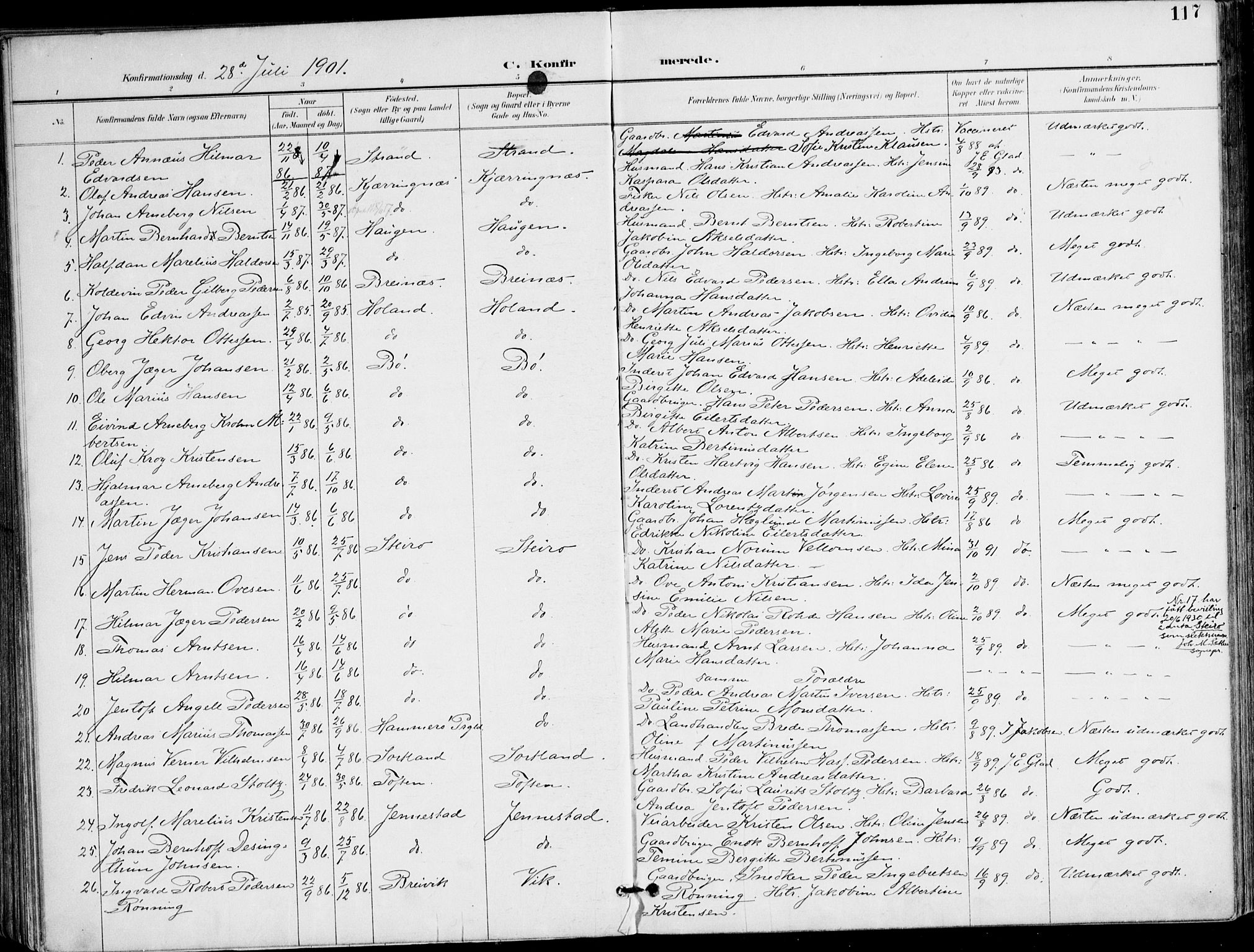 Ministerialprotokoller, klokkerbøker og fødselsregistre - Nordland, AV/SAT-A-1459/895/L1372: Parish register (official) no. 895A07, 1894-1914, p. 117