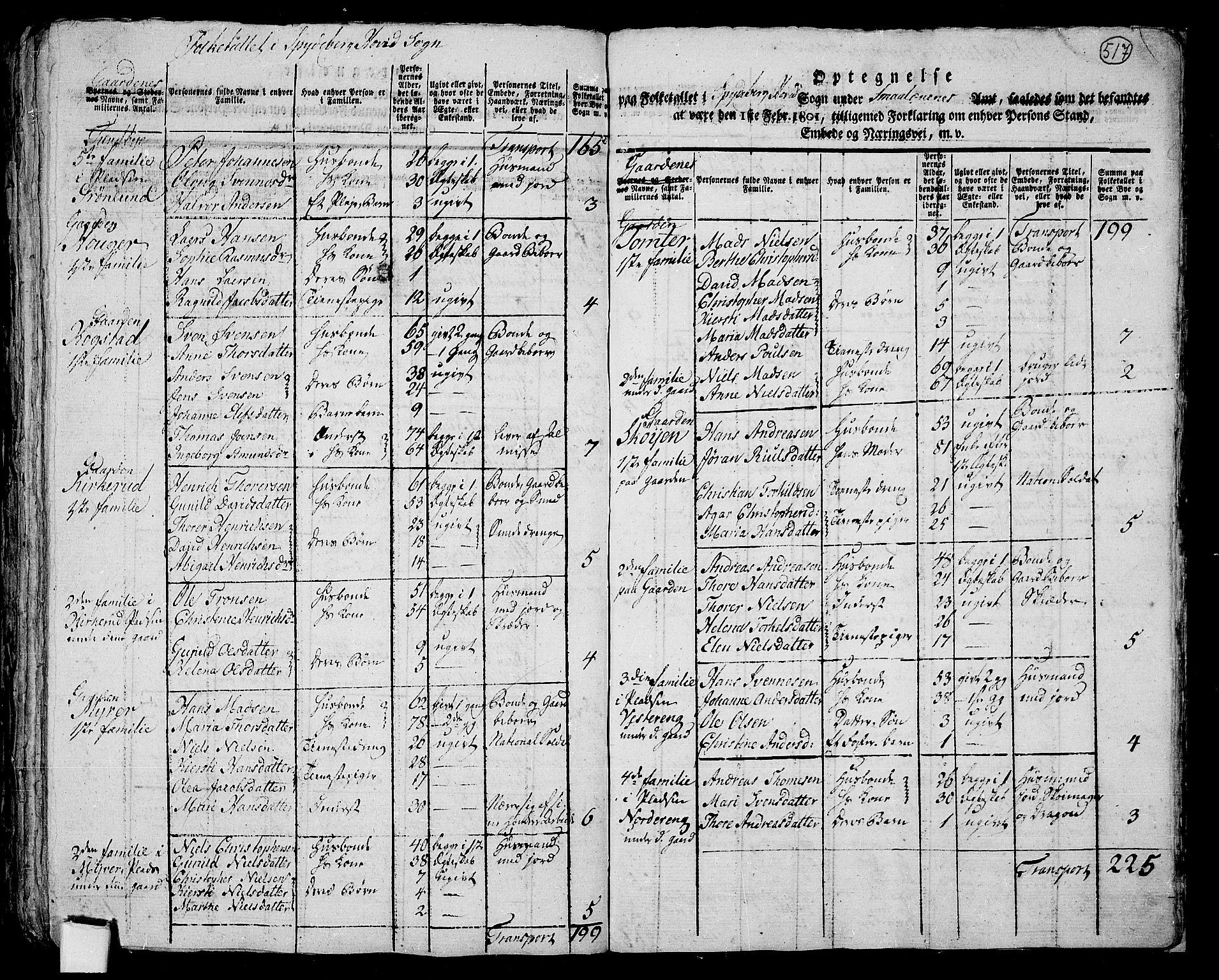 RA, 1801 census for 0123P Spydeberg, 1801, p. 516b-517a