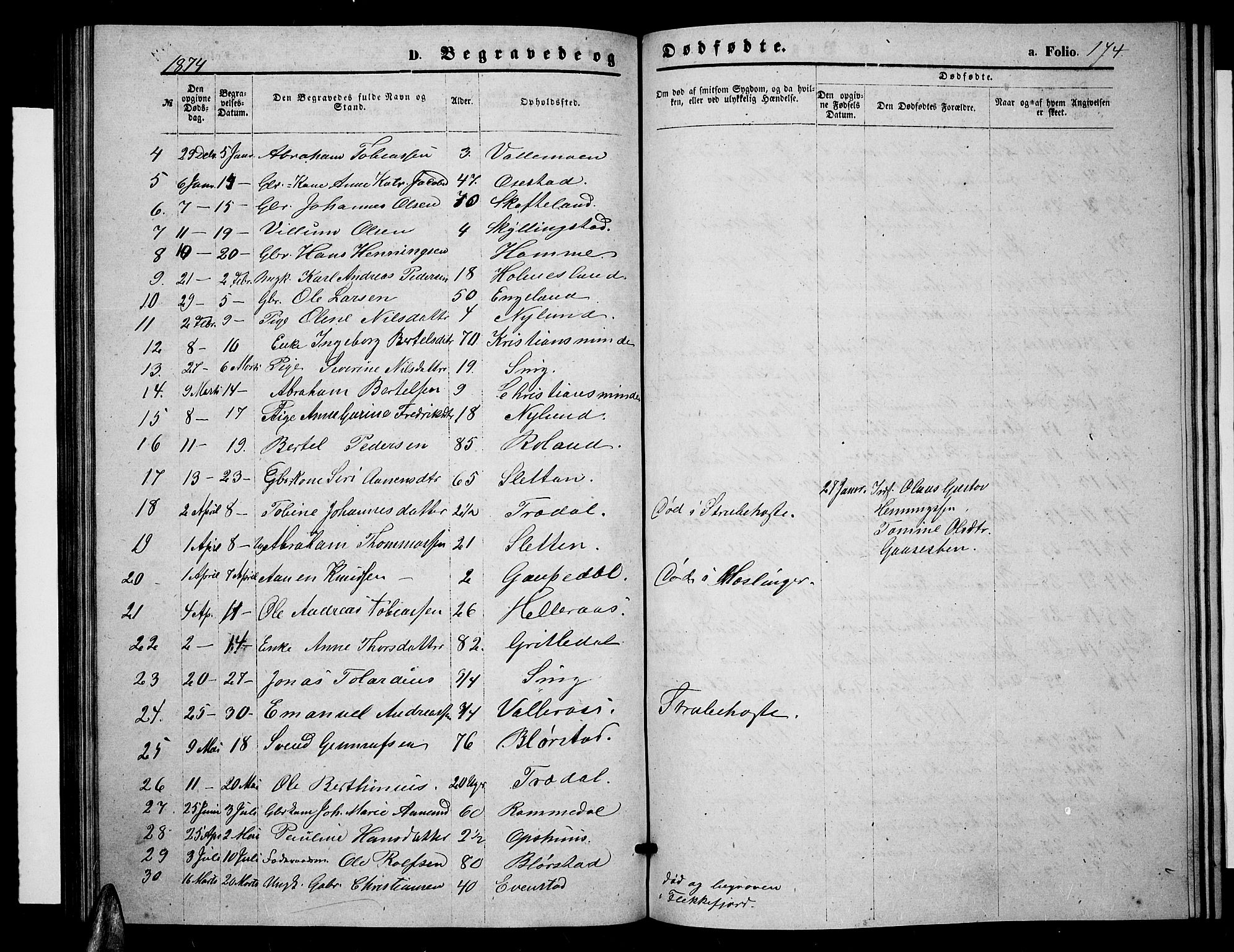 Sør-Audnedal sokneprestkontor, AV/SAK-1111-0039/F/Fb/Fbb/L0004: Parish register (copy) no. B 4, 1868-1879, p. 174