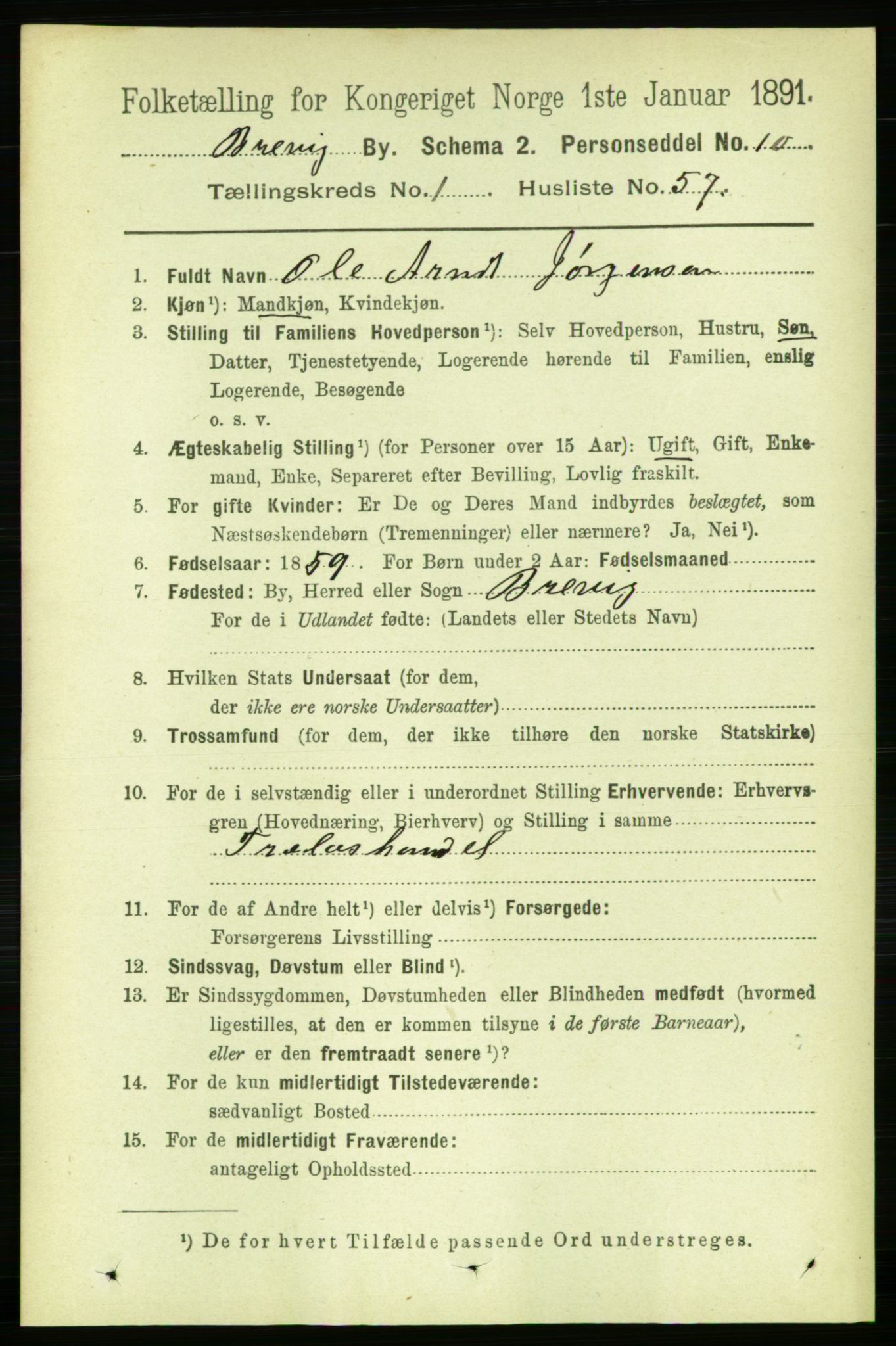 RA, 1891 census for 0804 Brevik, 1891, p. 1178