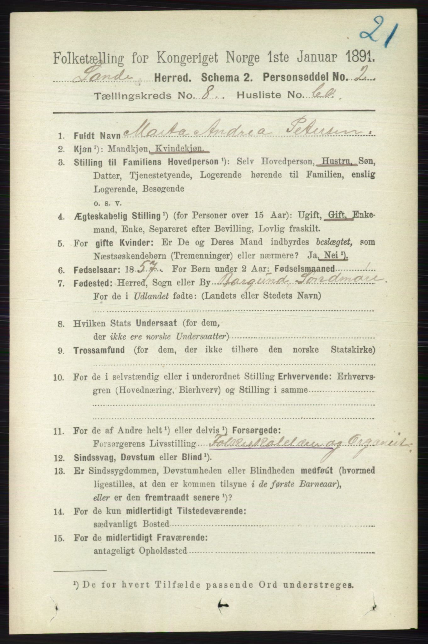 RA, 1891 census for 0713 Sande, 1891, p. 3835