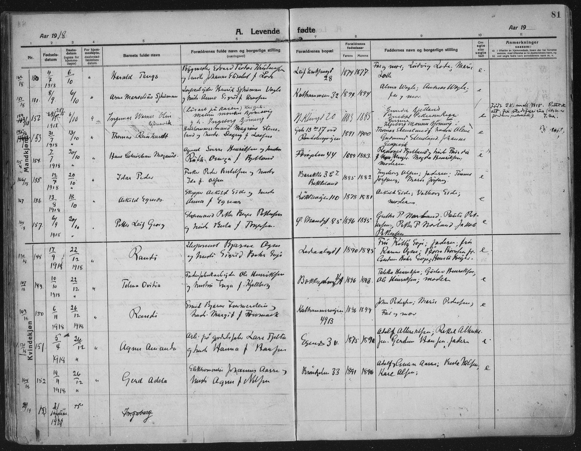 Domkirken sokneprestkontor, SAST/A-101812/002/A/L0018: Parish register (official) no. A 34, 1915-1929, p. 81