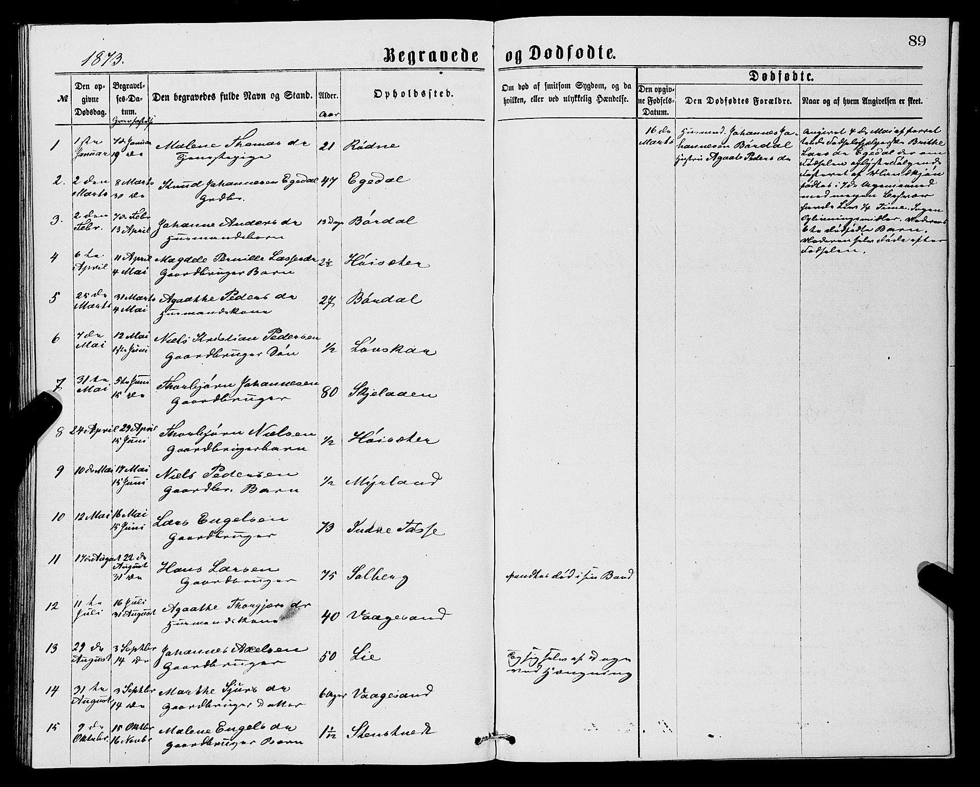 Samnanger Sokneprestembete, SAB/A-77501/H/Hab: Parish register (copy) no. A 1, 1869-1878, p. 89