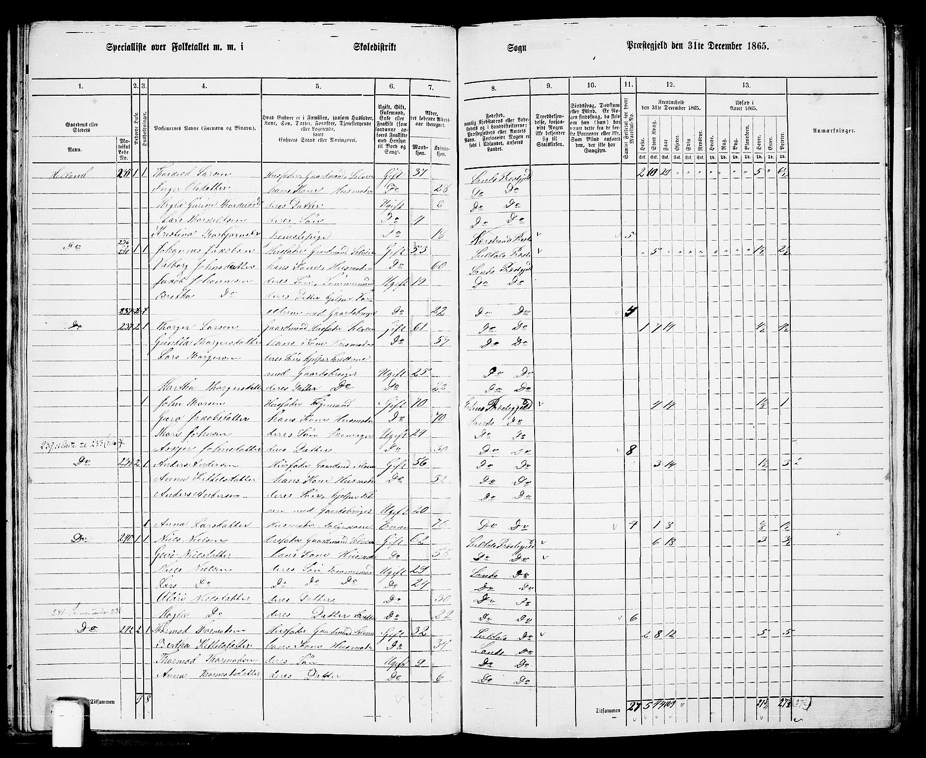 RA, 1865 census for Sand, 1865, p. 34