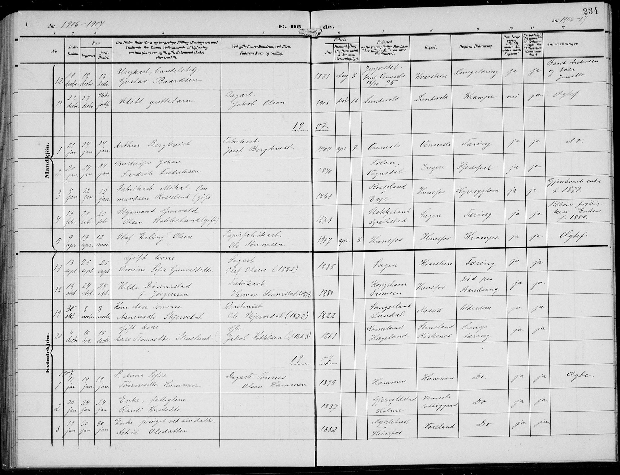 Vennesla sokneprestkontor, AV/SAK-1111-0045/Fb/Fbb/L0005: Parish register (copy) no. B 5, 1903-1913, p. 234