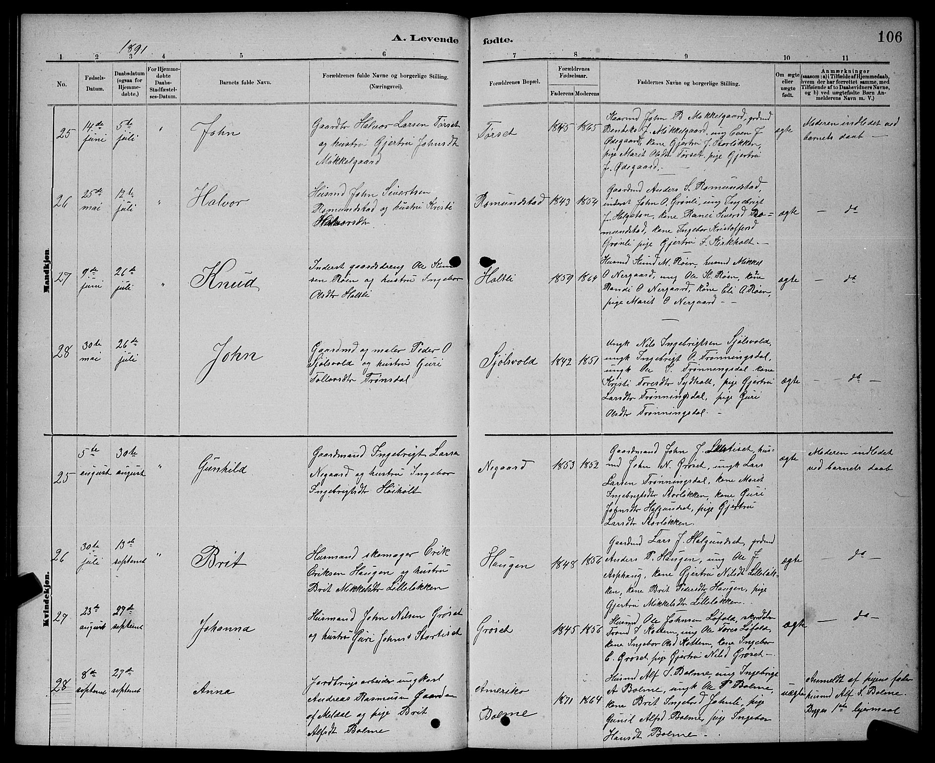 Ministerialprotokoller, klokkerbøker og fødselsregistre - Møre og Romsdal, AV/SAT-A-1454/598/L1077: Parish register (copy) no. 598C02, 1879-1891, p. 106