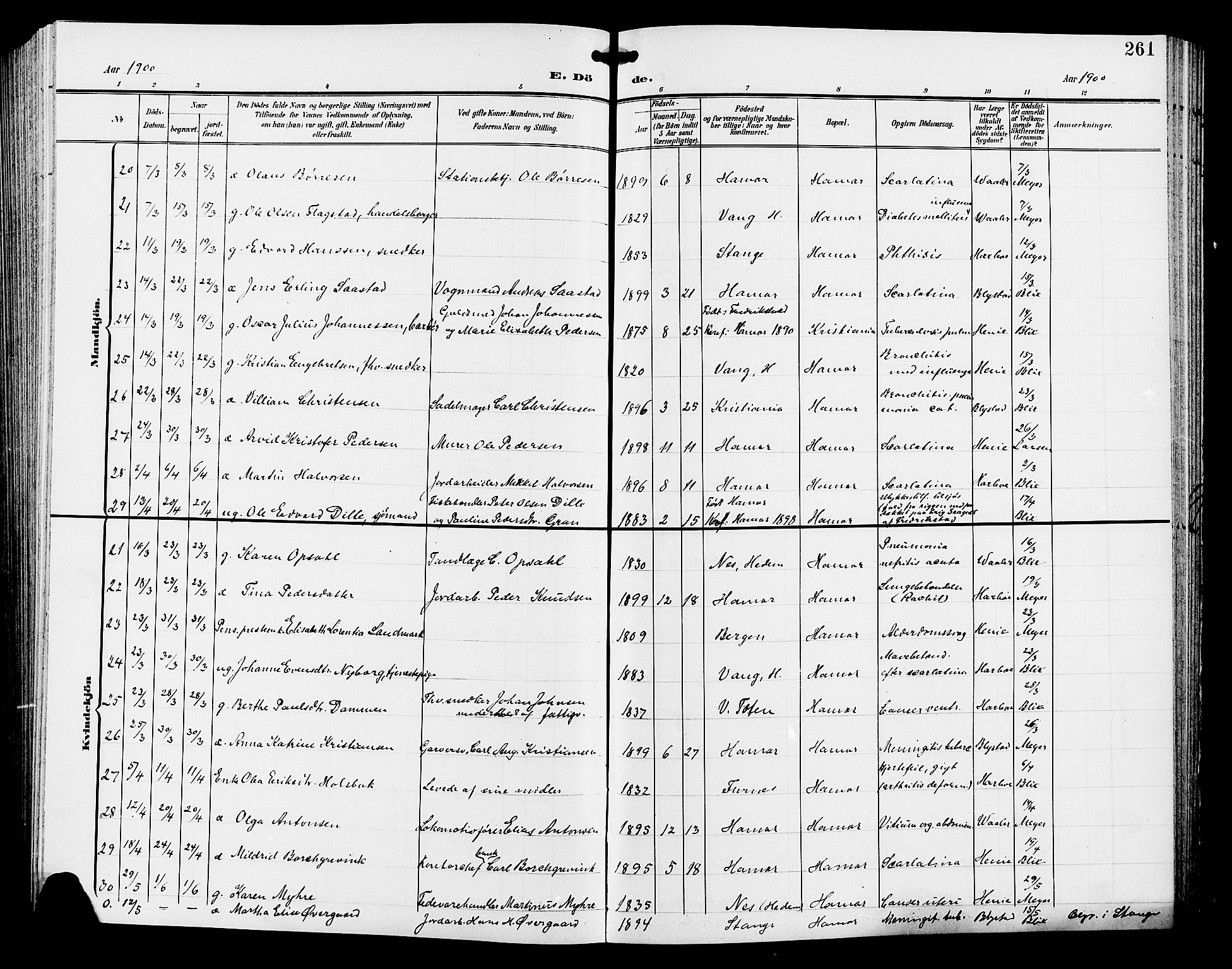 Hamar prestekontor, AV/SAH-DOMPH-002/H/Ha/Hab/L0001: Parish register (copy) no. 1, 1899-1914, p. 261