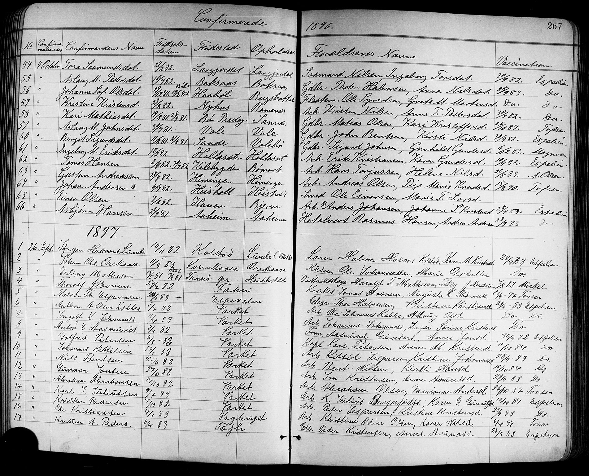 Holla kirkebøker, SAKO/A-272/G/Ga/L0005: Parish register (copy) no. I 5, 1891-1917, p. 267