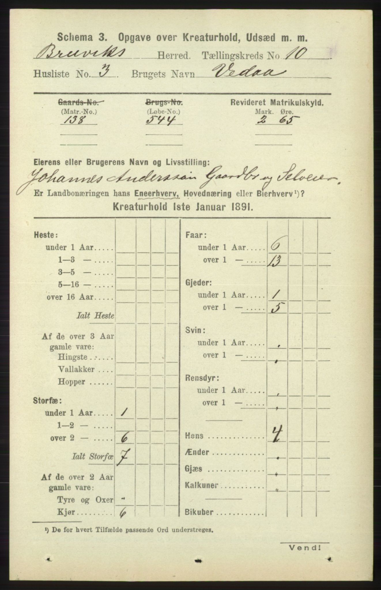 RA, 1891 census for 1251 Bruvik, 1891, p. 4900