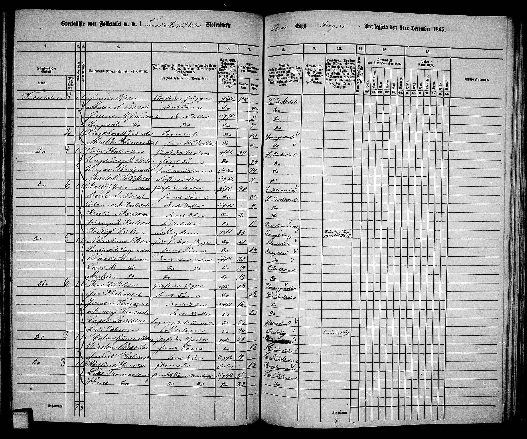 RA, 1865 census for Kragerø/Sannidal og Skåtøy, 1865, p. 136