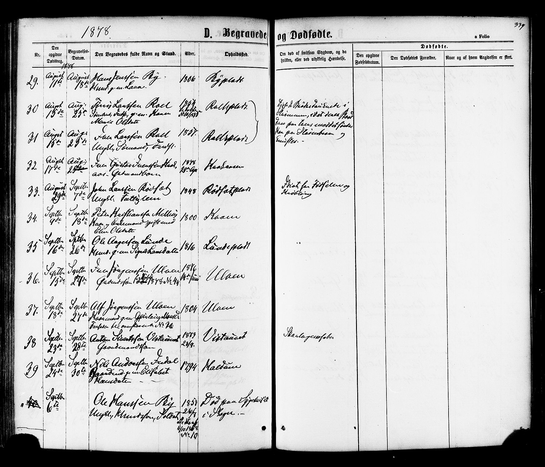 Ministerialprotokoller, klokkerbøker og fødselsregistre - Nord-Trøndelag, AV/SAT-A-1458/730/L0284: Parish register (official) no. 730A09, 1866-1878, p. 339