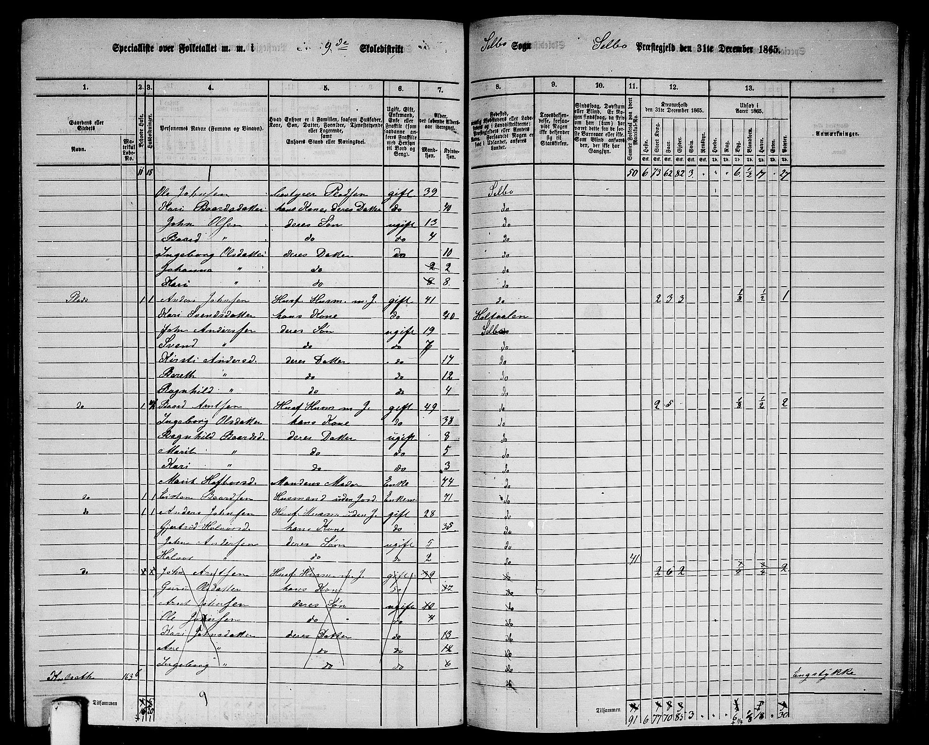 RA, 1865 census for Selbu, 1865, p. 172