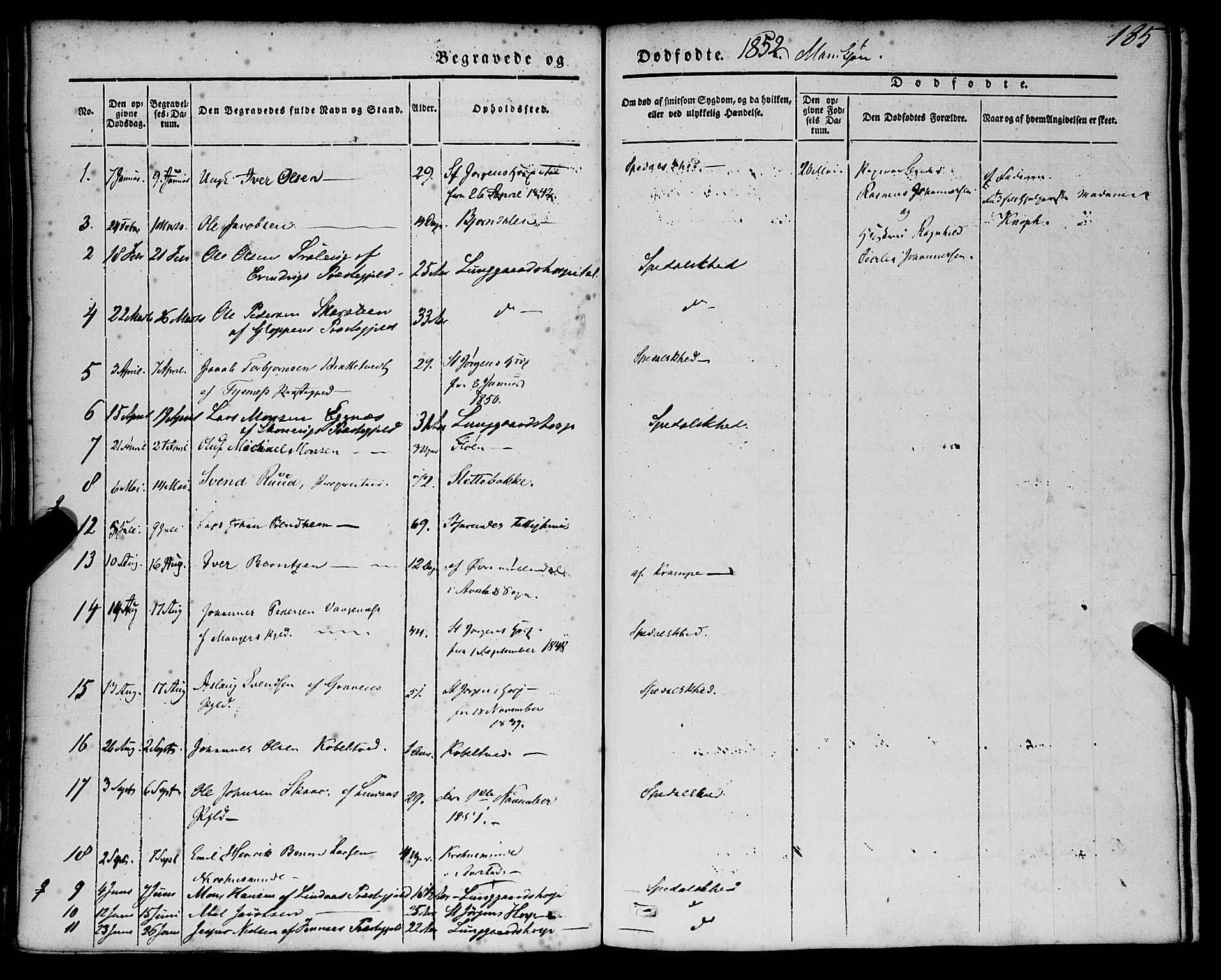 St. Jørgens hospital og Årstad sokneprestembete, AV/SAB-A-99934: Parish register (official) no. A 4, 1844-1863, p. 185