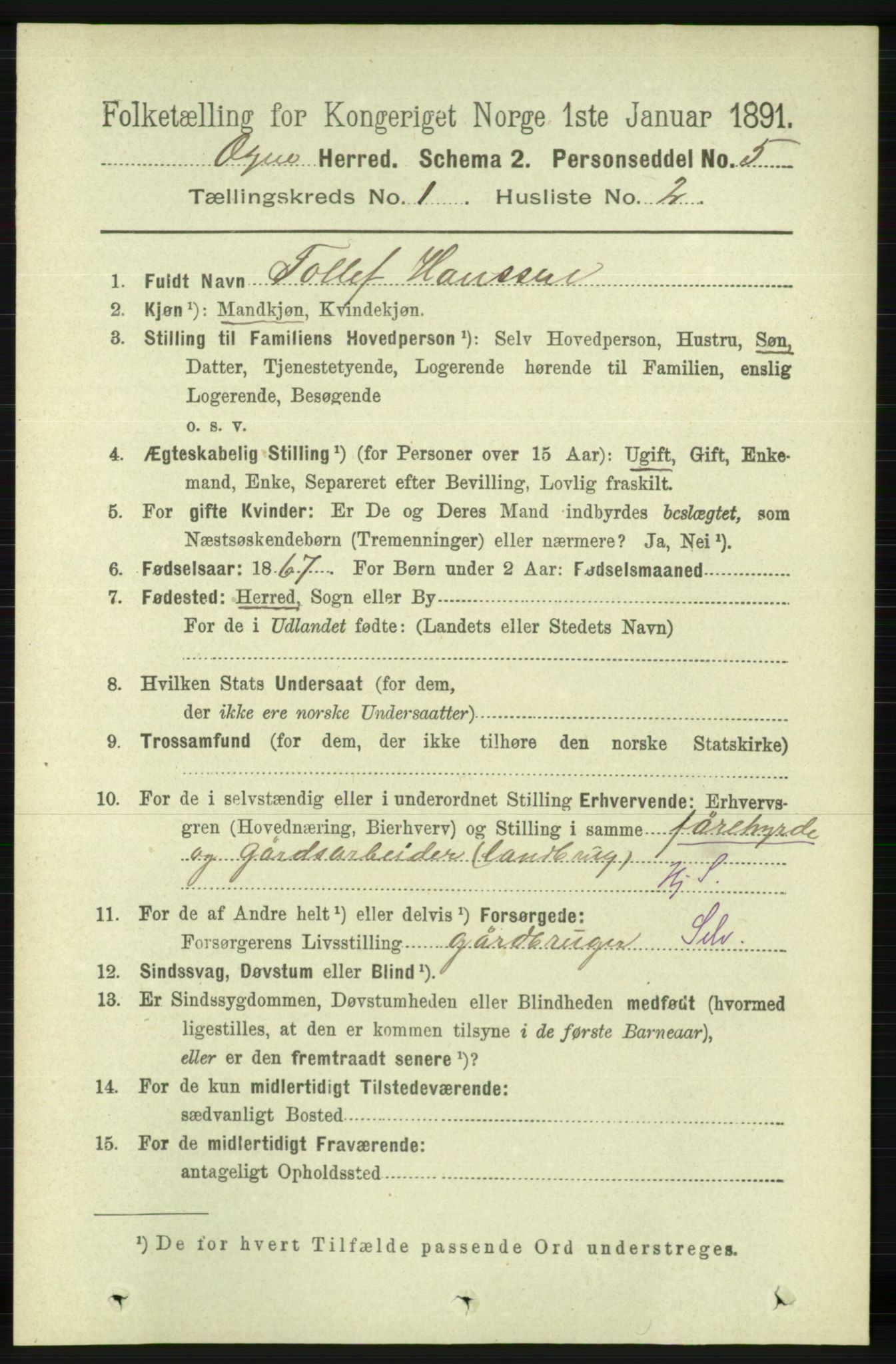 RA, 1891 census for 1117 Ogna, 1891, p. 118