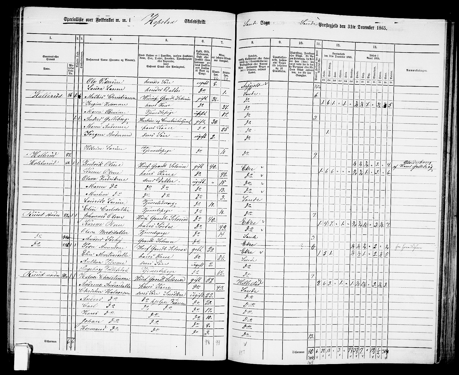 RA, 1865 census for Sande, 1865, p. 64