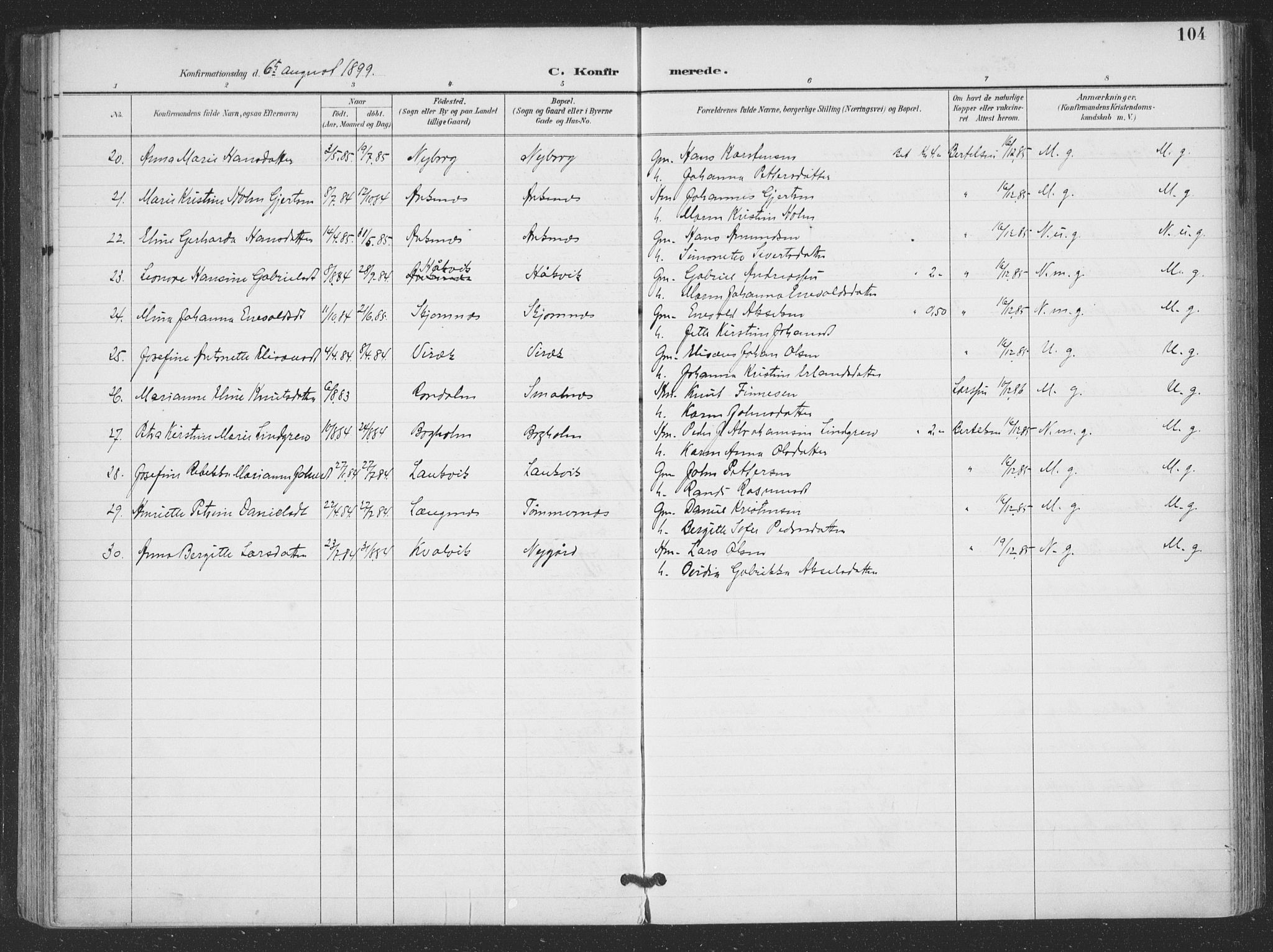 Ministerialprotokoller, klokkerbøker og fødselsregistre - Nordland, AV/SAT-A-1459/866/L0939: Parish register (official) no. 866A02, 1894-1906, p. 104