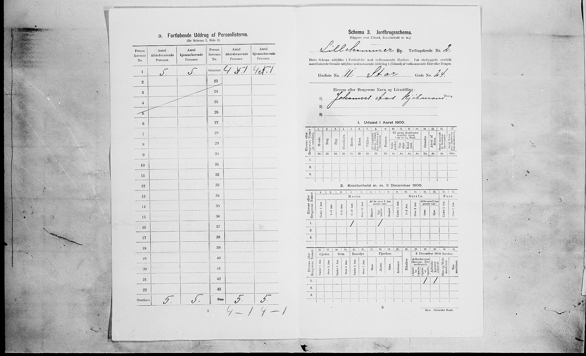 SAH, 1900 census for Lillehammer, 1900, p. 29