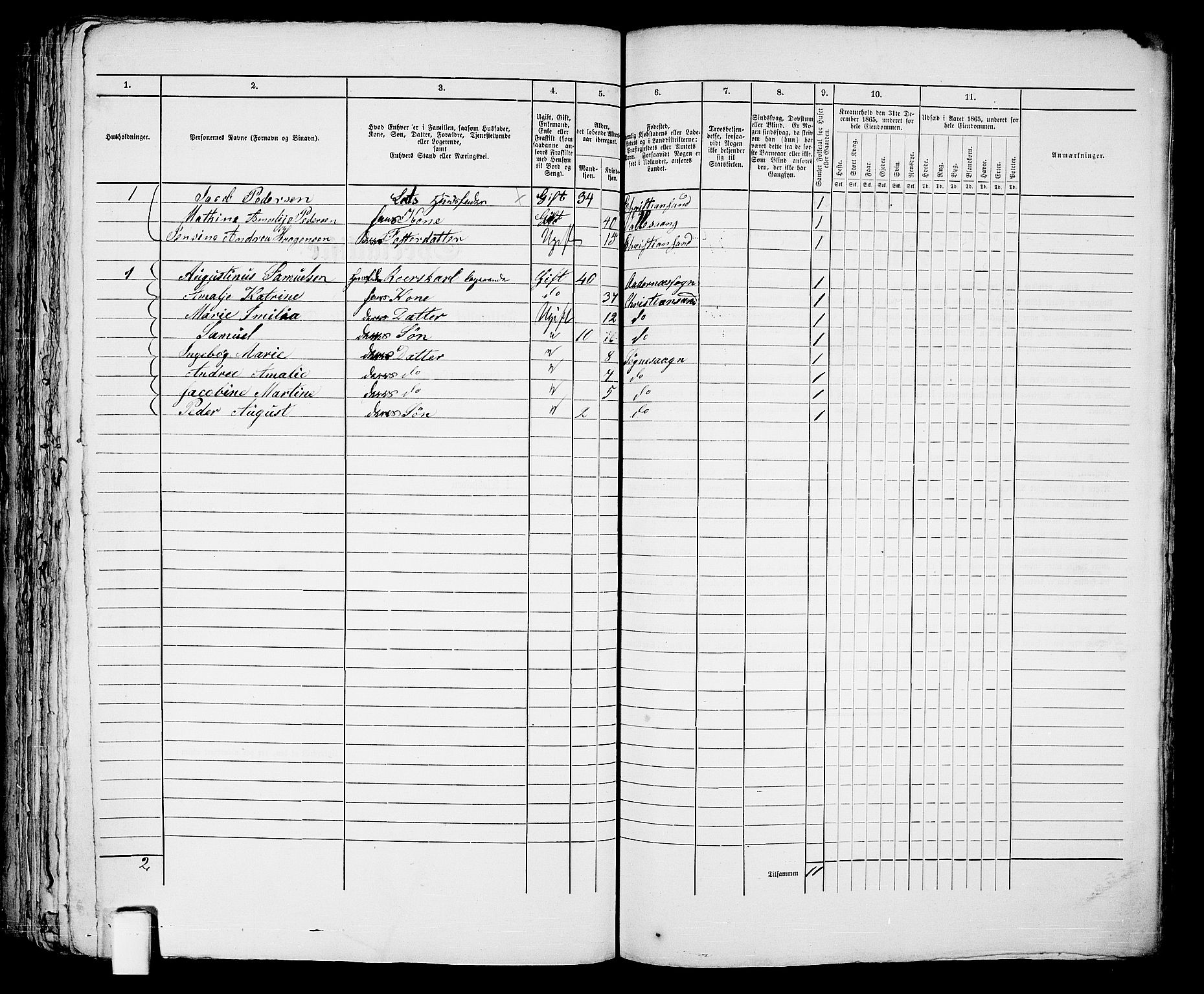 RA, 1865 census for Kristiansand, 1865, p. 410