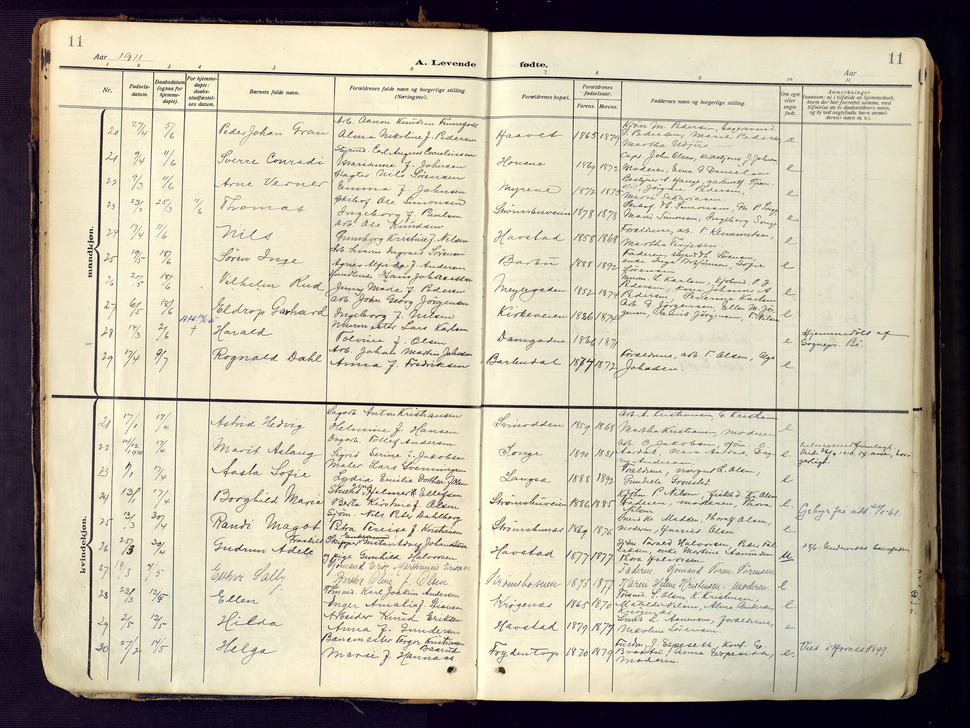 Barbu sokneprestkontor, AV/SAK-1111-0003/F/Fa/L0006: Parish register (official) no. A 6, 1910-1929, p. 11