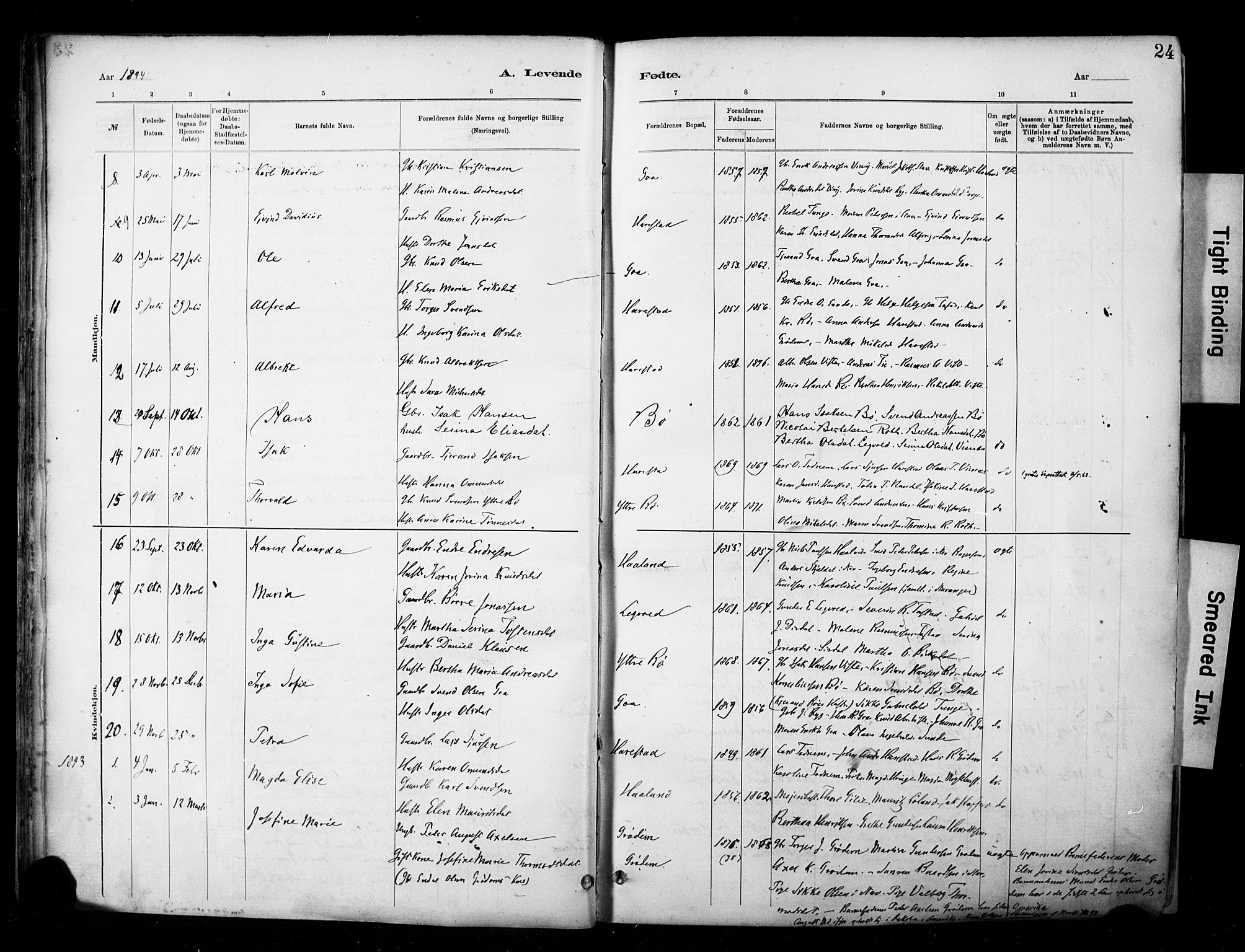 Hetland sokneprestkontor, SAST/A-101826/30/30BA/L0009: Parish register (official) no. A 9, 1882-1918, p. 24