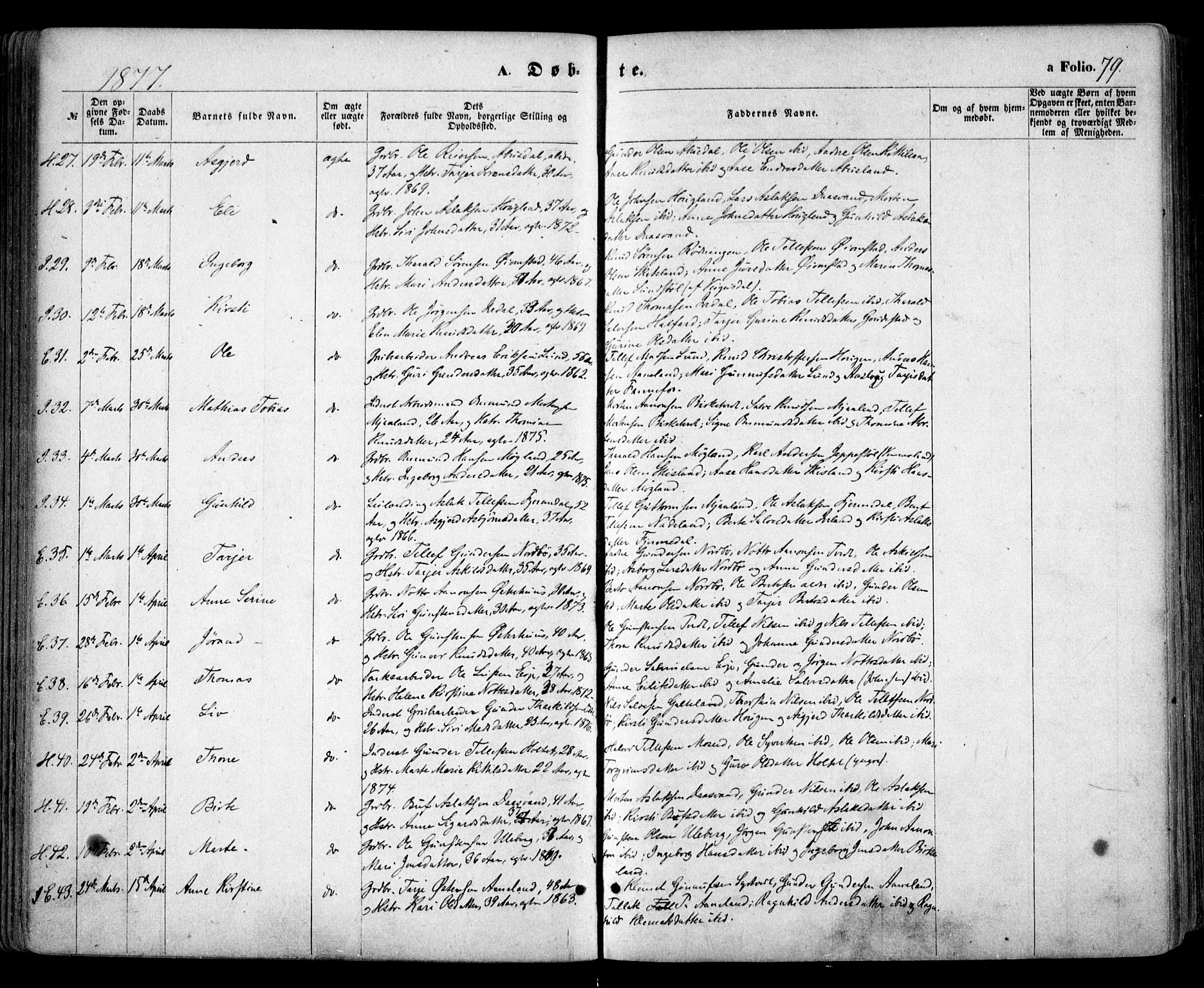 Evje sokneprestkontor, AV/SAK-1111-0008/F/Fa/Faa/L0006: Parish register (official) no. A 6, 1866-1884, p. 79