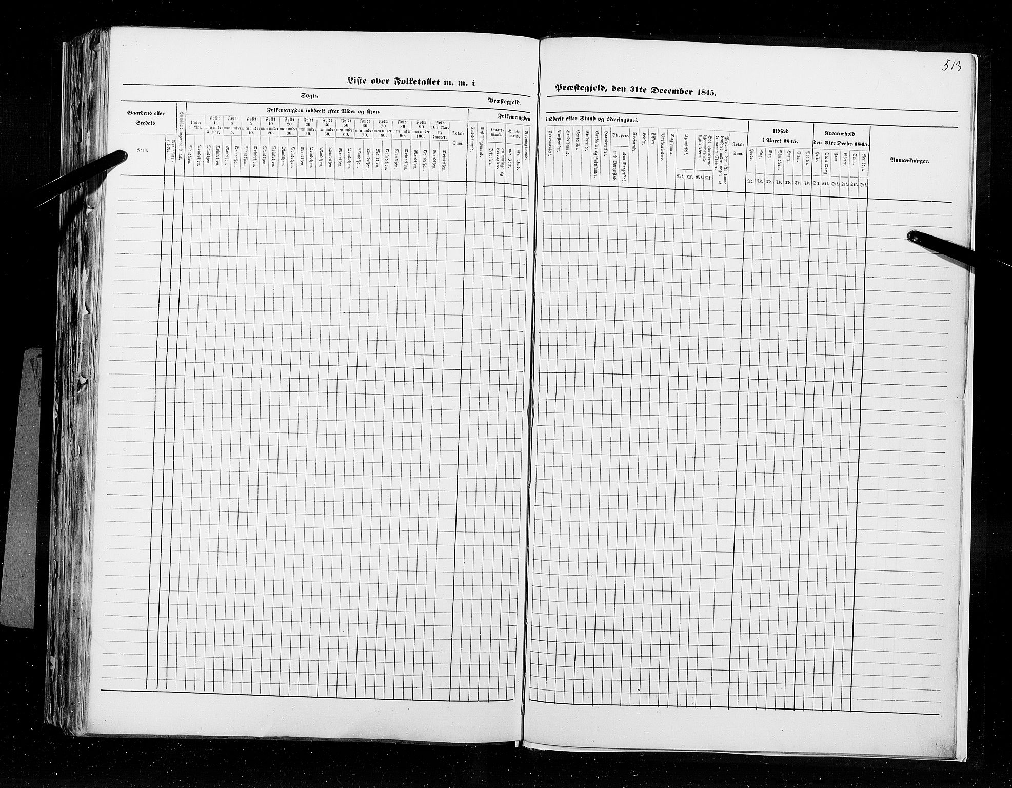 RA, Census 1845, vol. 9B: Nordland amt, 1845, p. 513