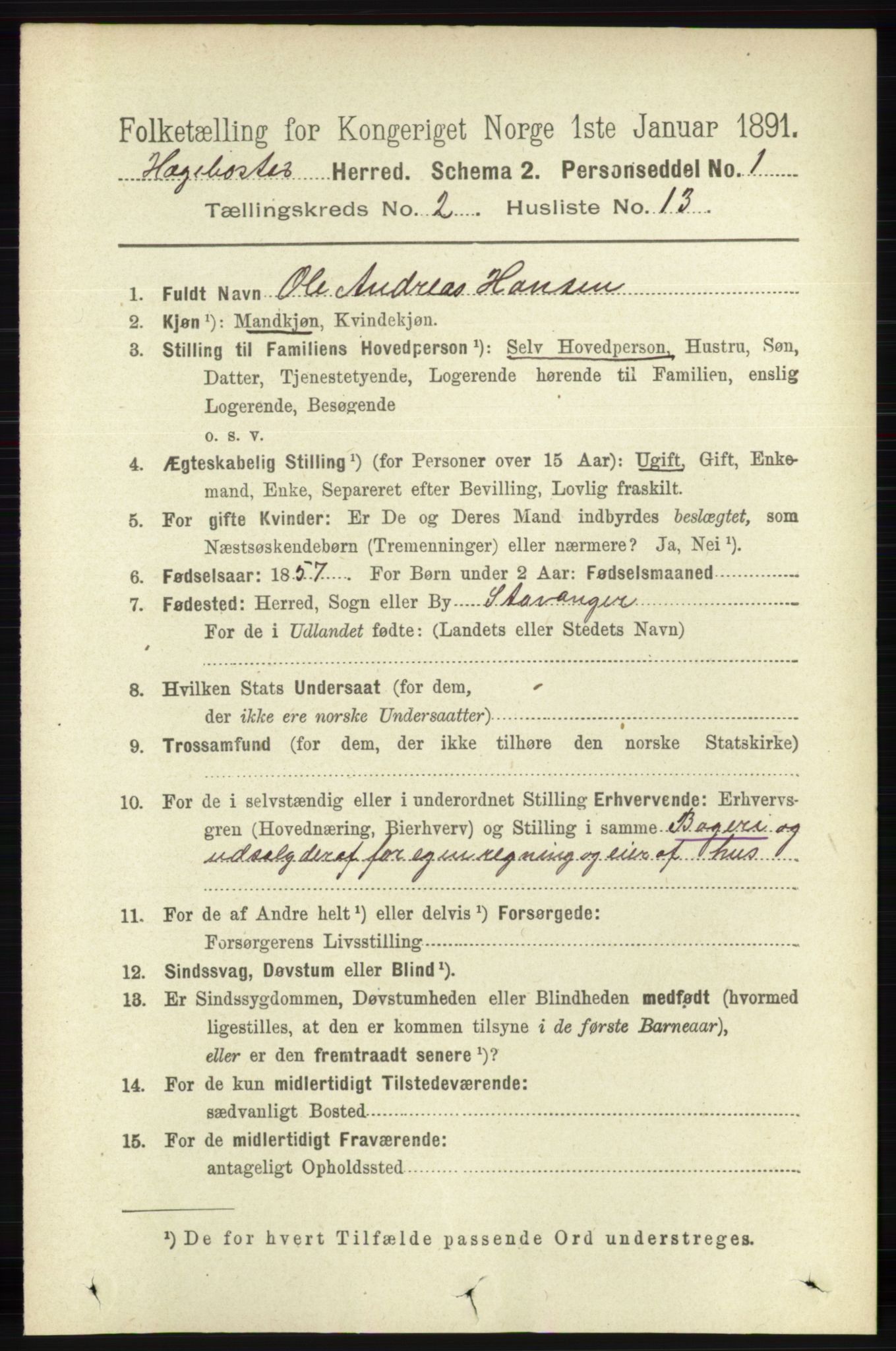 RA, 1891 census for 1034 Hægebostad, 1891, p. 552