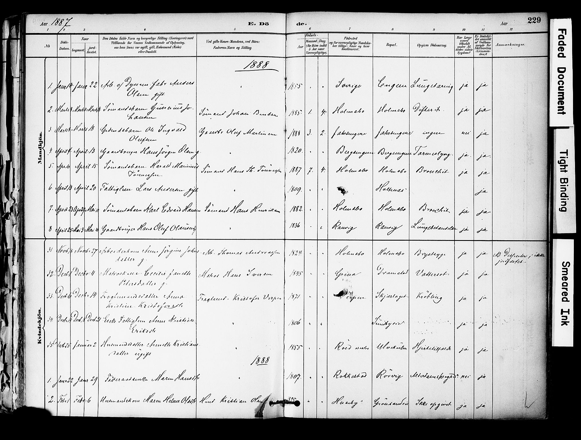 Hurum kirkebøker, SAKO/A-229/F/Fa/L0014: Parish register (official) no. 14, 1882-1895, p. 229