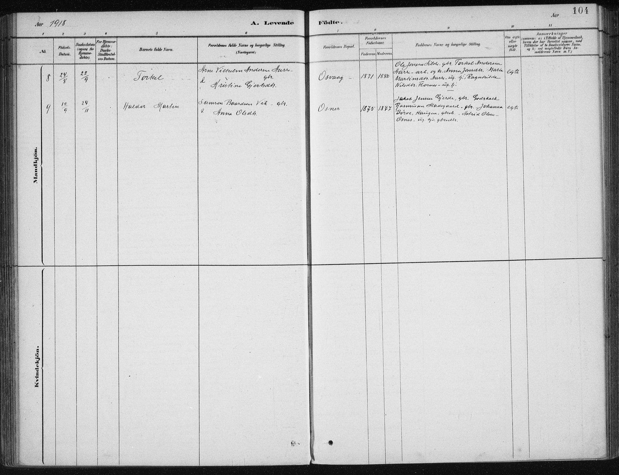 Etne sokneprestembete, SAB/A-75001/H/Haa: Parish register (official) no. C  1, 1879-1919, p. 104