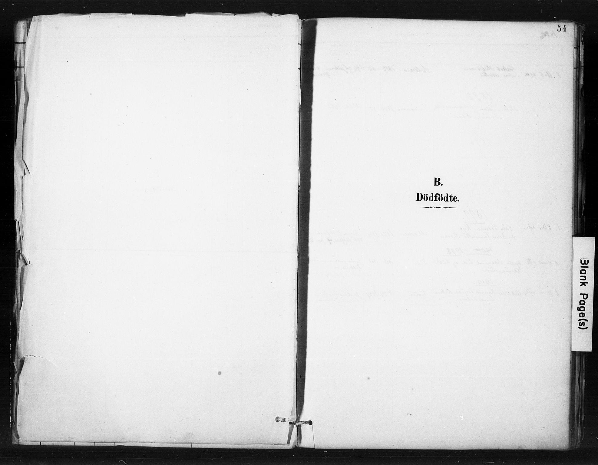 Hjelmeland sokneprestkontor, SAST/A-101843/01/IV/L0015: Parish register (official) no. A 15, 1887-1910, p. 54