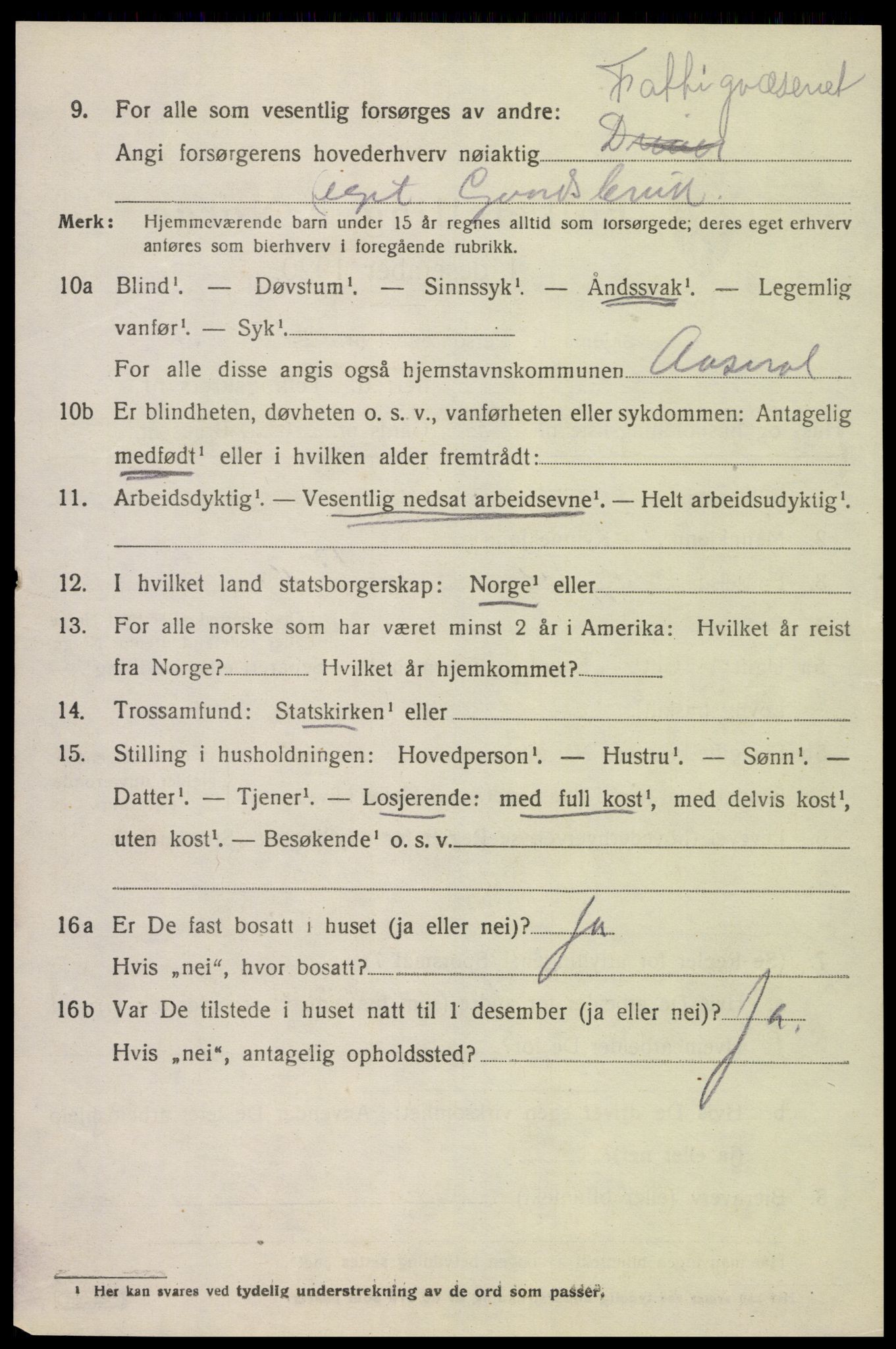 SAK, 1920 census for Åseral, 1920, p. 1999