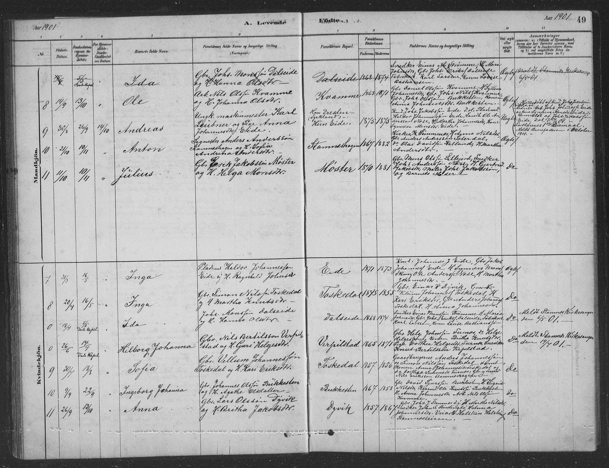 Vaksdal Sokneprestembete, SAB/A-78901/H/Hab: Parish register (copy) no. D 1, 1878-1939, p. 49