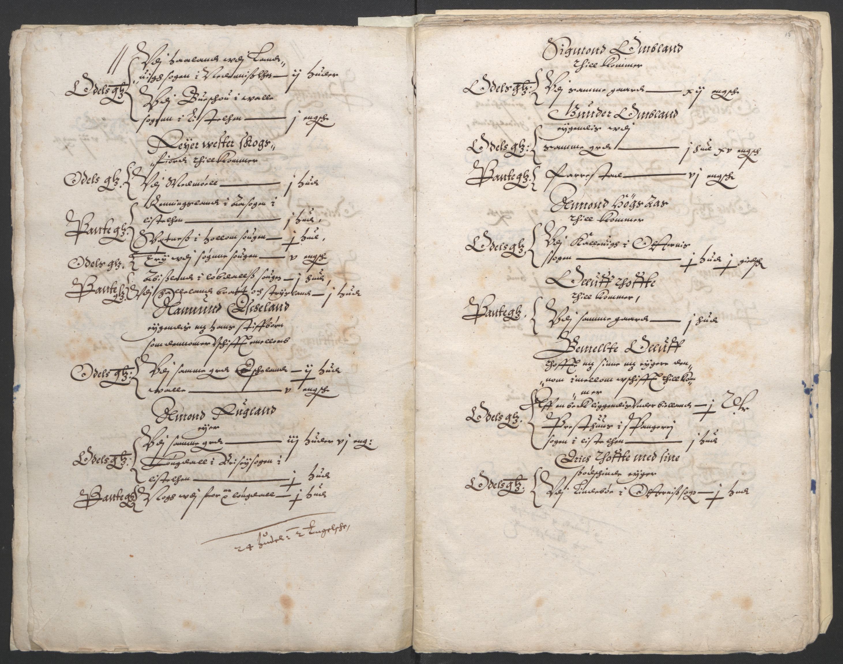 Stattholderembetet 1572-1771, AV/RA-EA-2870/Ek/L0010/0001: Jordebøker til utlikning av rosstjeneste 1624-1626: / Odelsjordebøker for Agdesiden len, 1624, p. 111