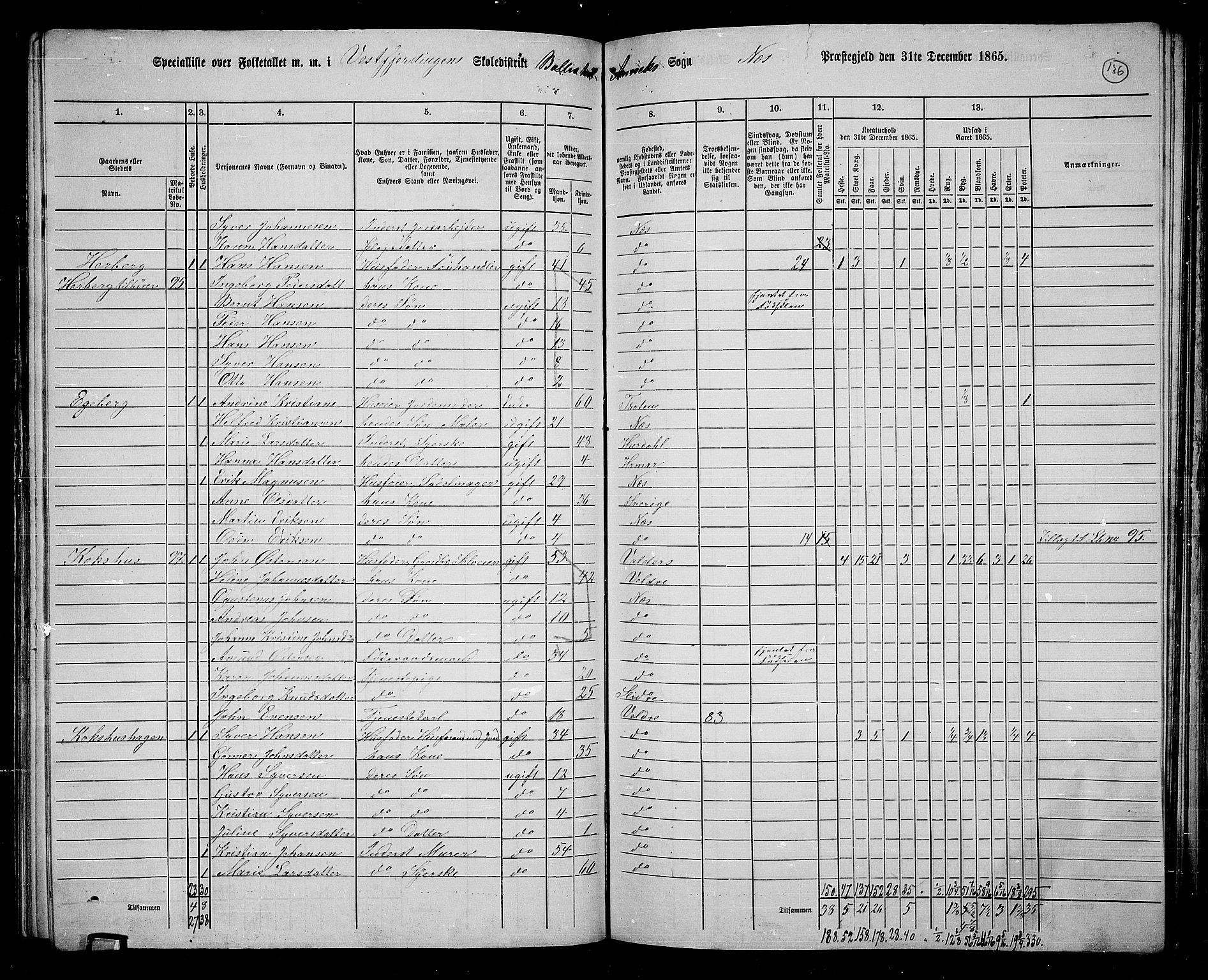 RA, 1865 census for Nes, 1865, p. 116